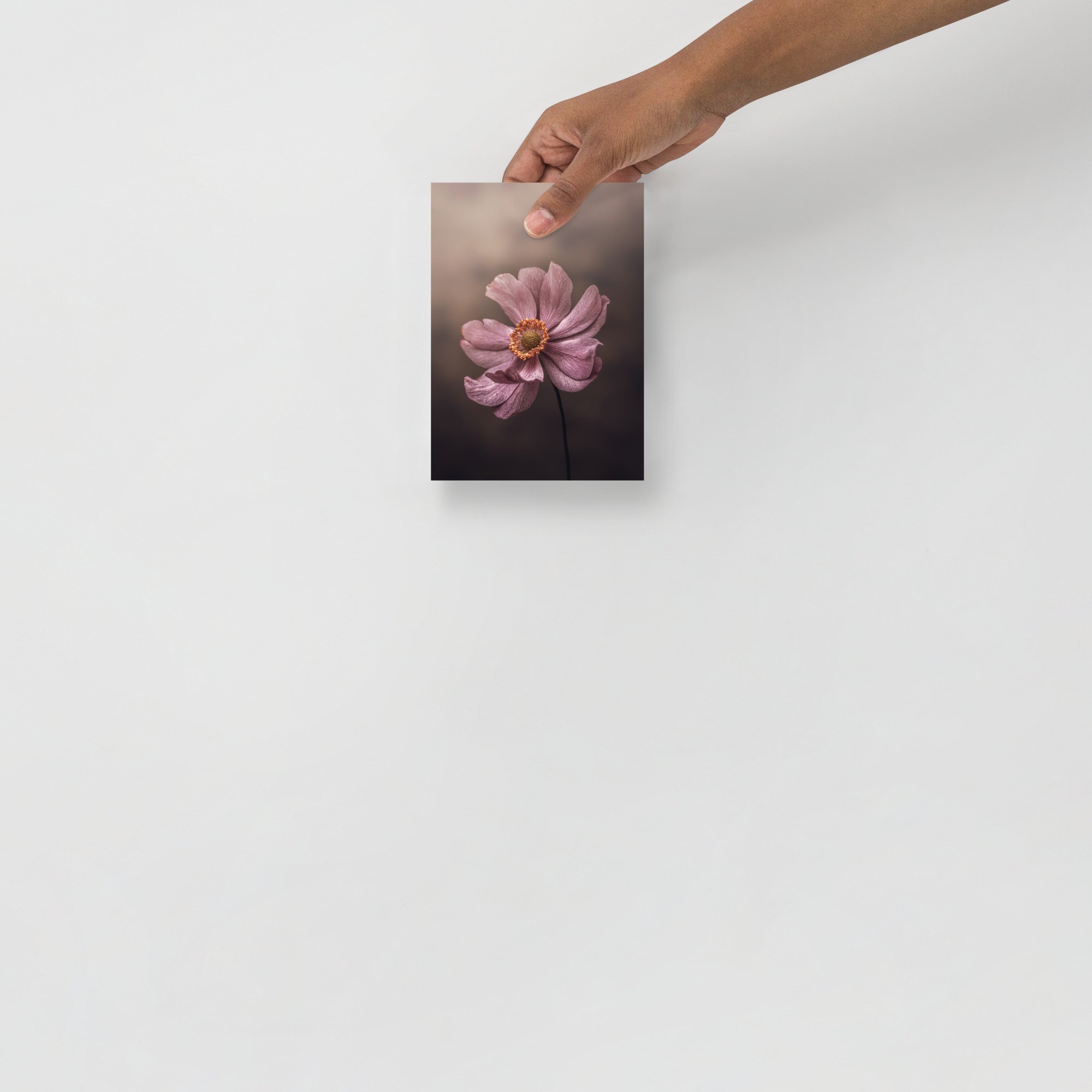enhanced-matte-paper-poster-(in)-5x7-front-6634d6f2ba9ec.jpg