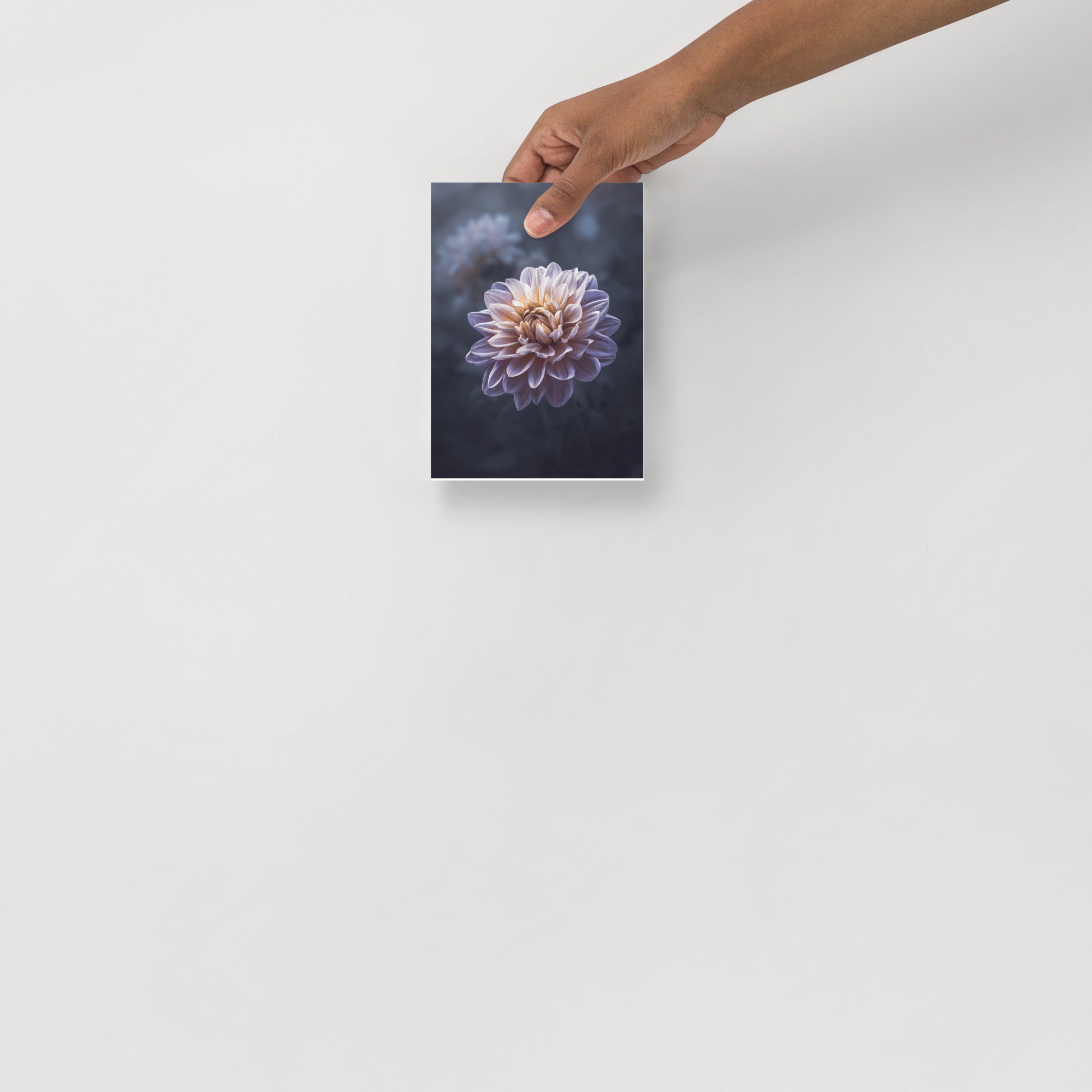 enhanced-matte-paper-poster-(in)-5x7-front-6634fdb1ab4df.jpg