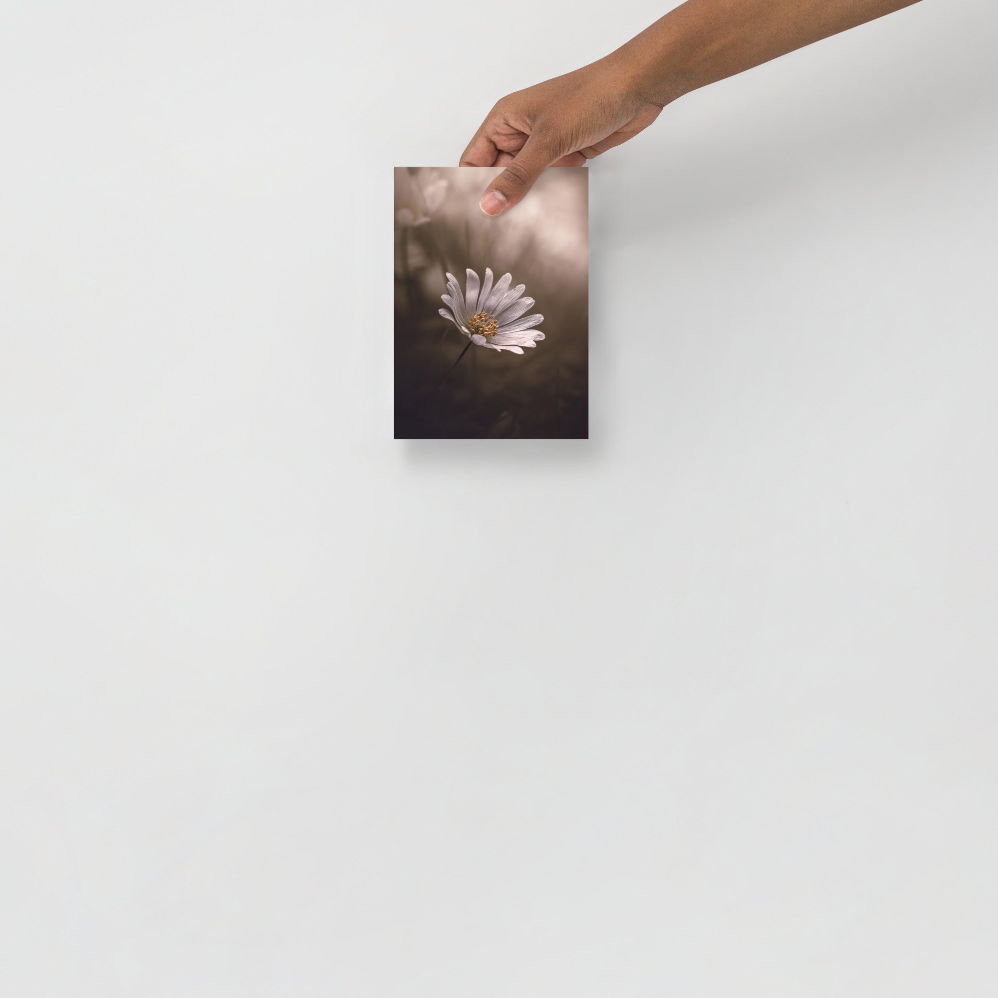enhanced-matte-paper-poster-(in)-5x7-front-66351b764c6a7.jpg