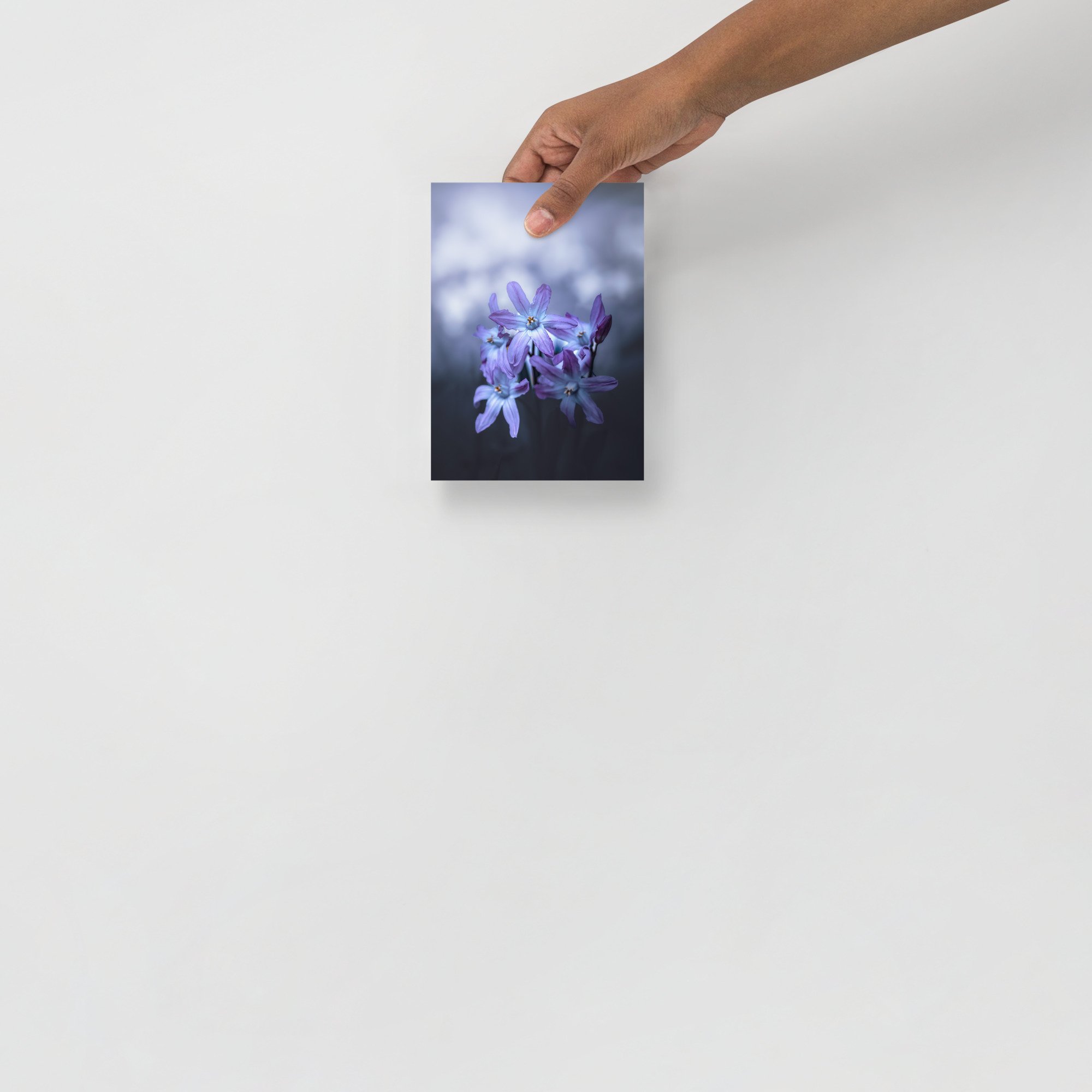 enhanced-matte-paper-poster-(in)-5x7-front-66351d36b9e08.jpg