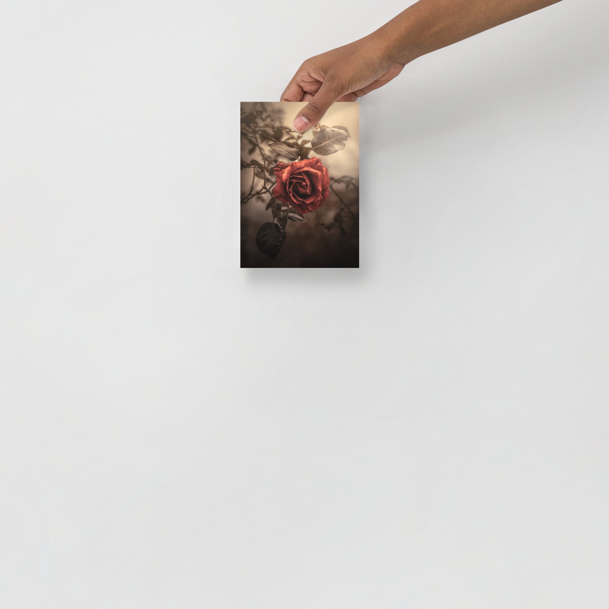 enhanced-matte-paper-poster-(in)-5x7-front-66352007af2ac.jpg