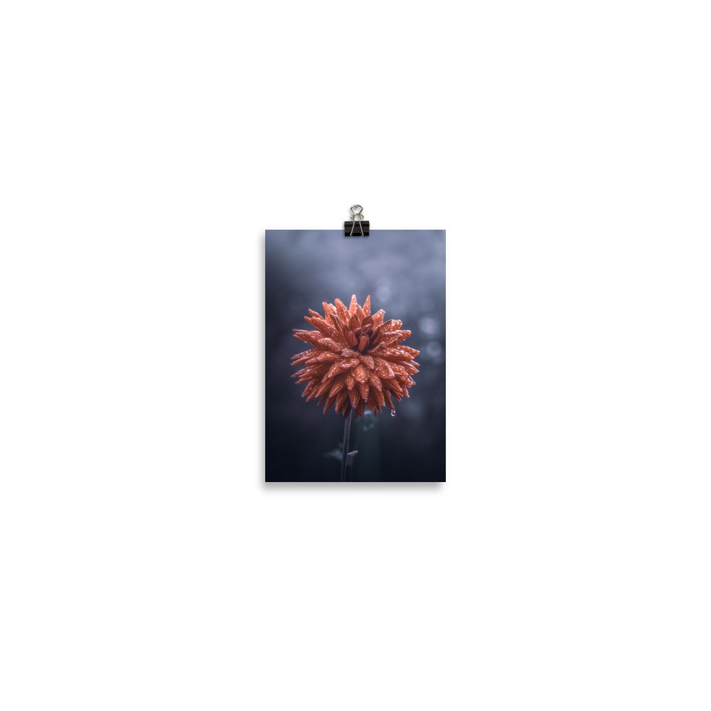enhanced-matte-paper-poster-(in)-5x7-transparent-66354edd3ce9d.jpg