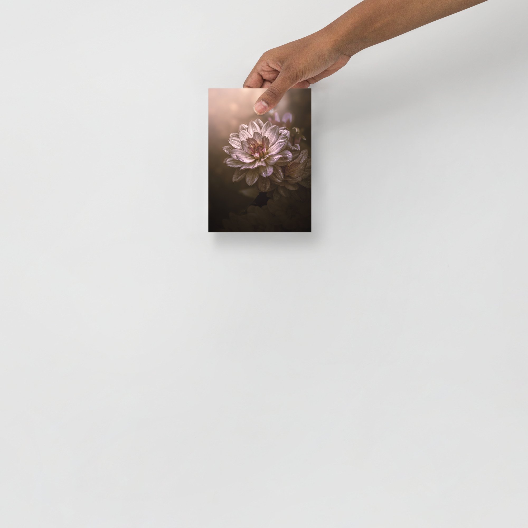 enhanced-matte-paper-poster-(in)-5x7-front-663600d86def2.jpg