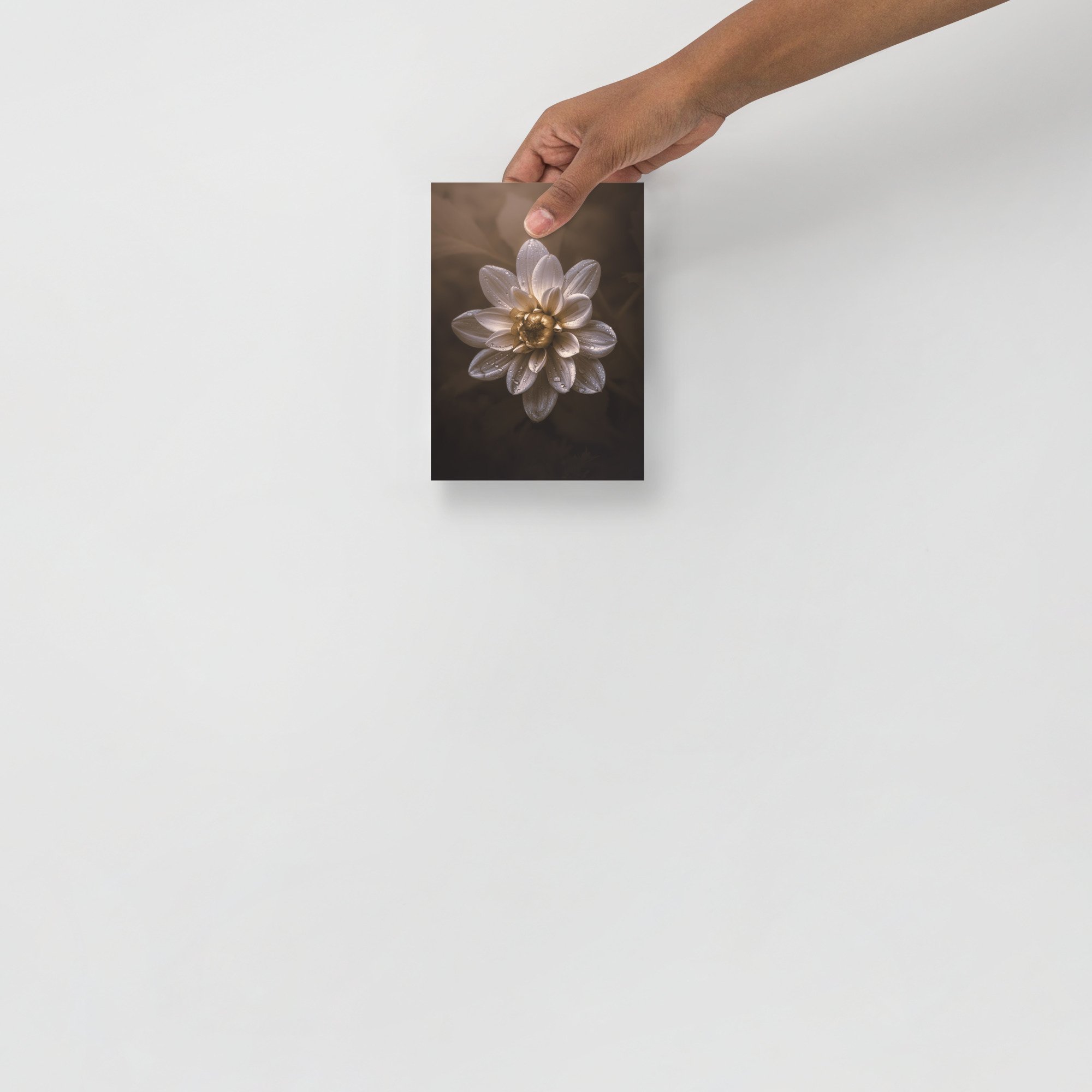enhanced-matte-paper-poster-(in)-5x7-front-66361d86c9ea6.jpg