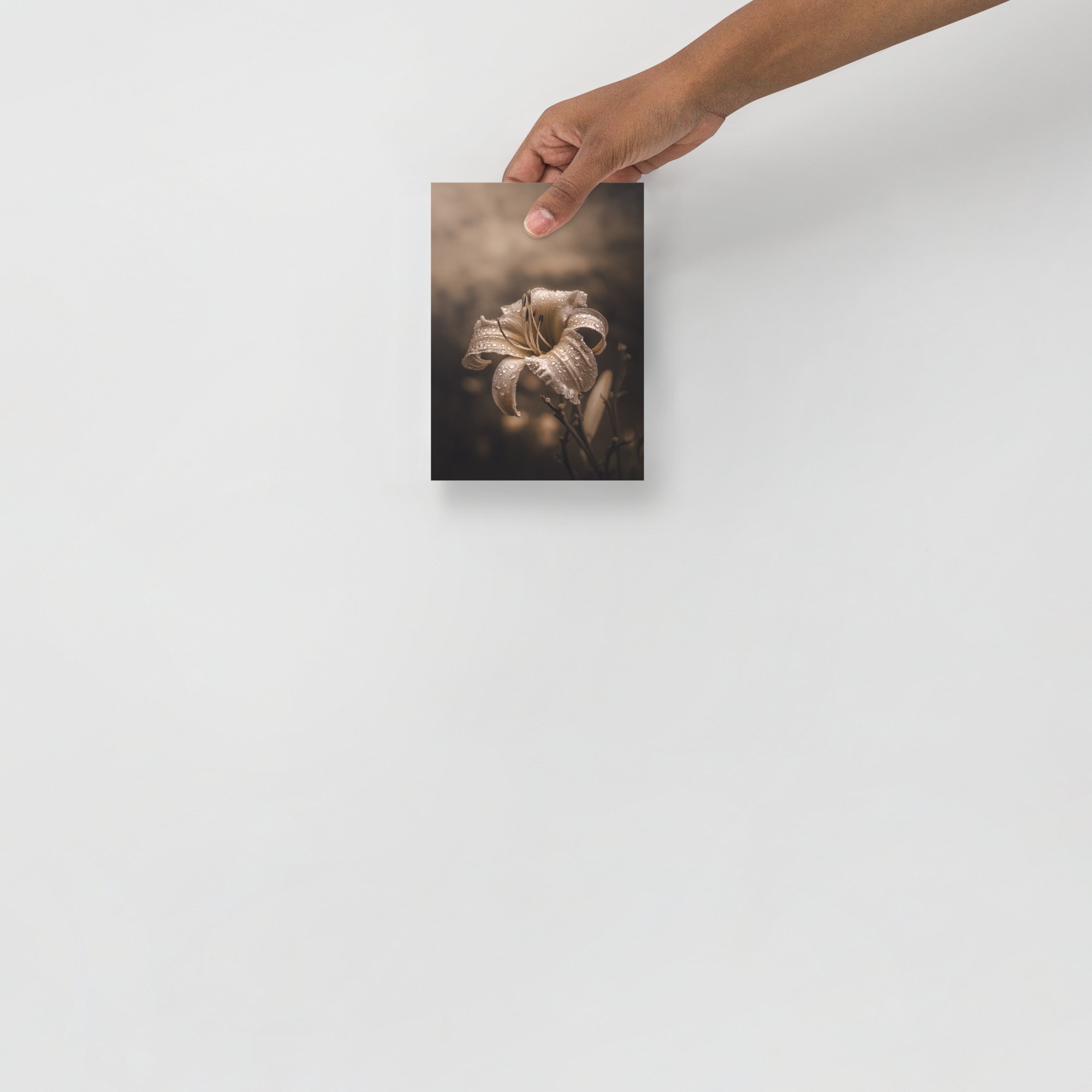 enhanced-matte-paper-poster-(in)-5x7-front-66363231ae3b4.jpg