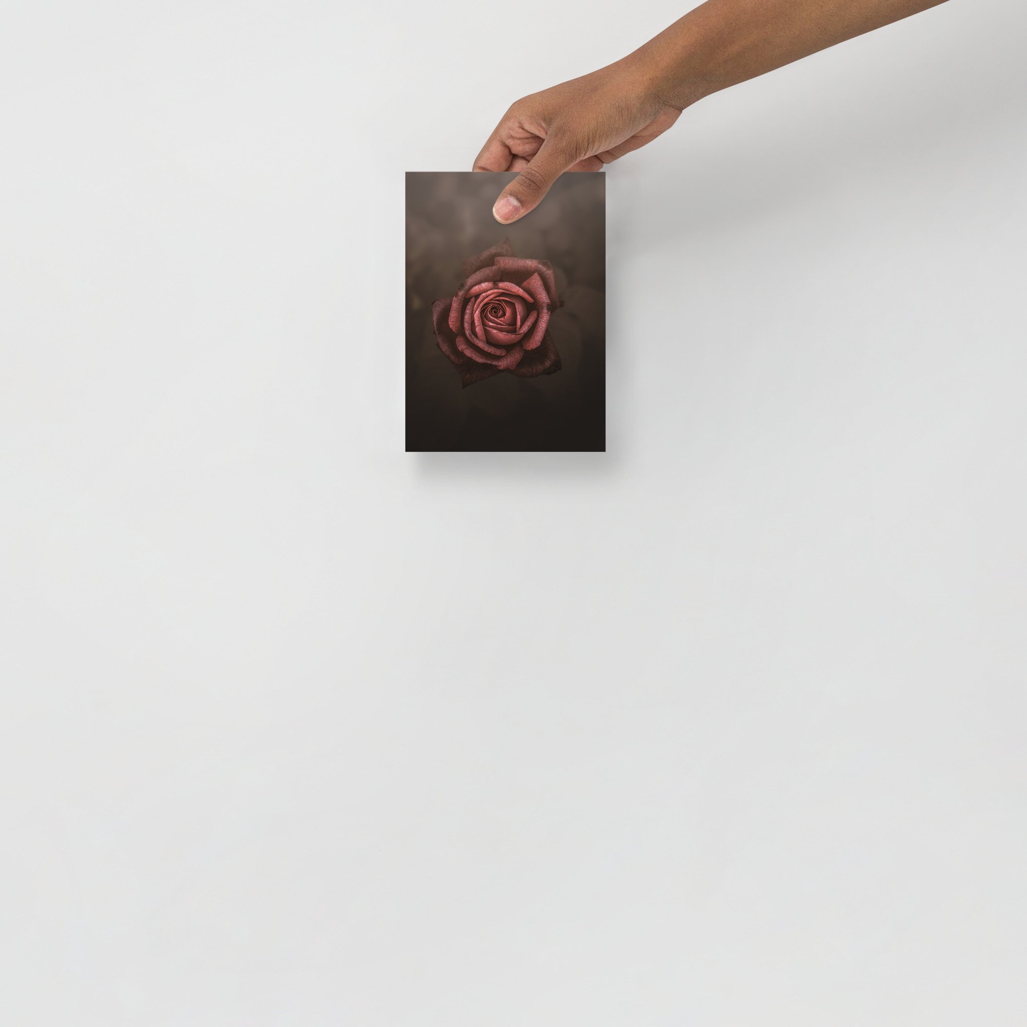 enhanced-matte-paper-poster-(in)-5x7-front-6636384815aae.jpg