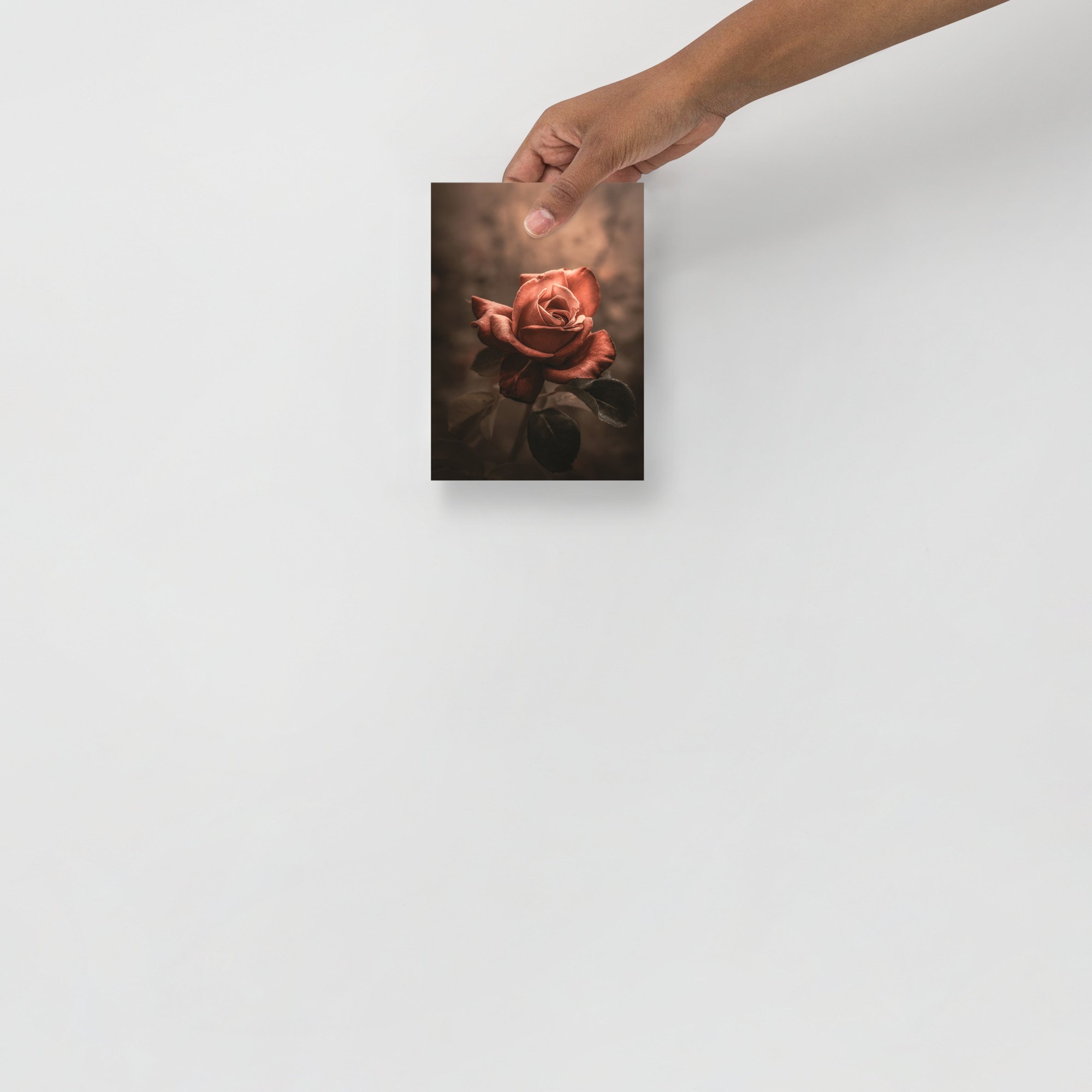 enhanced-matte-paper-poster-(in)-5x7-front-6636463683354.jpg