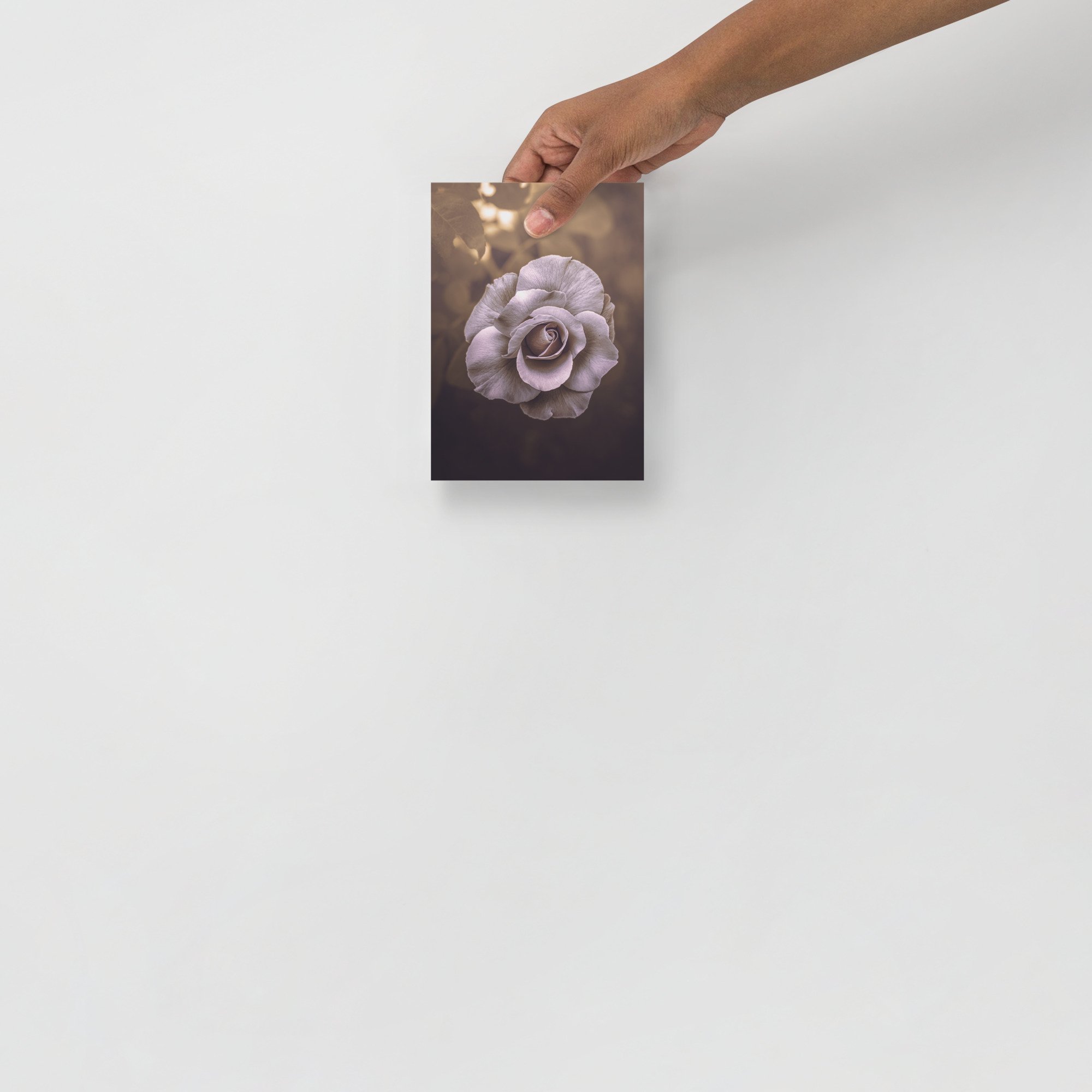 enhanced-matte-paper-poster-(in)-5x7-front-66364795060d0.jpg