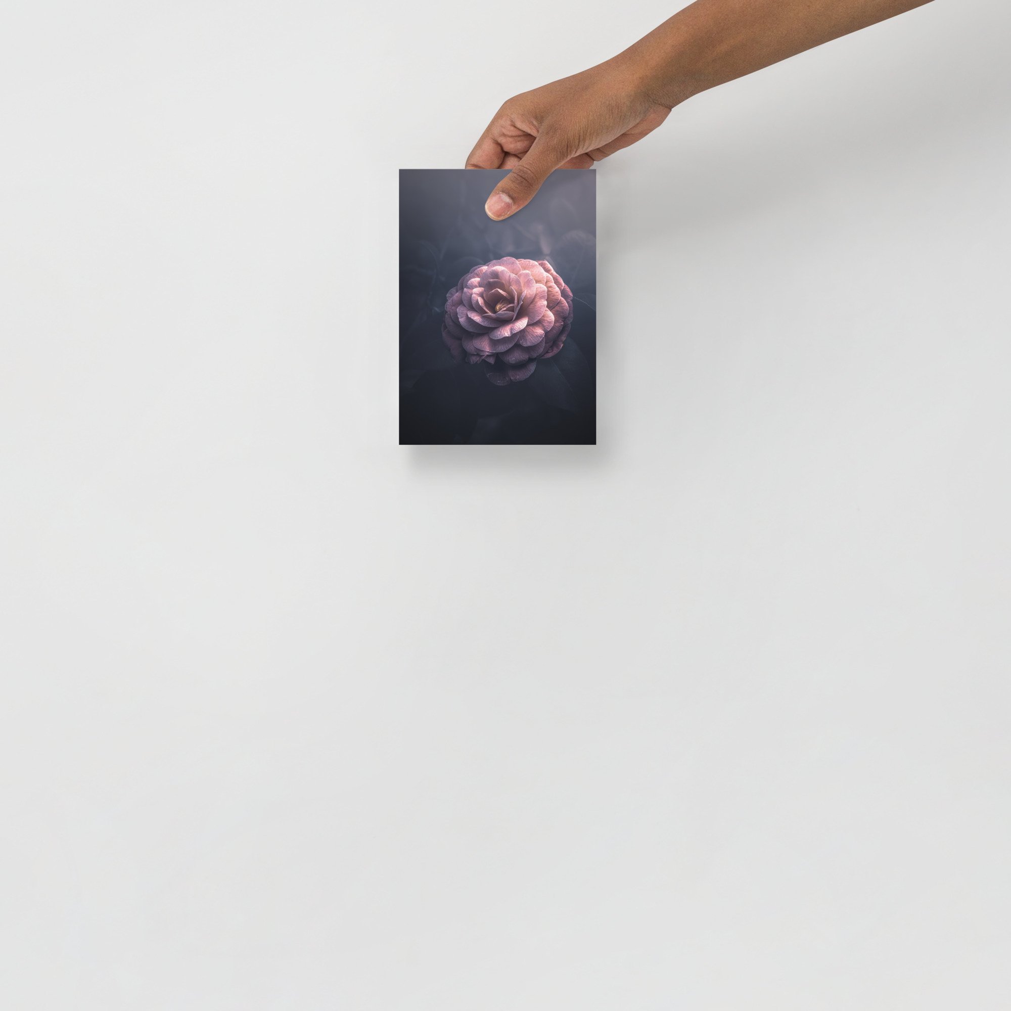 enhanced-matte-paper-poster-(in)-5x7-front-663659dfa0ea4.jpg