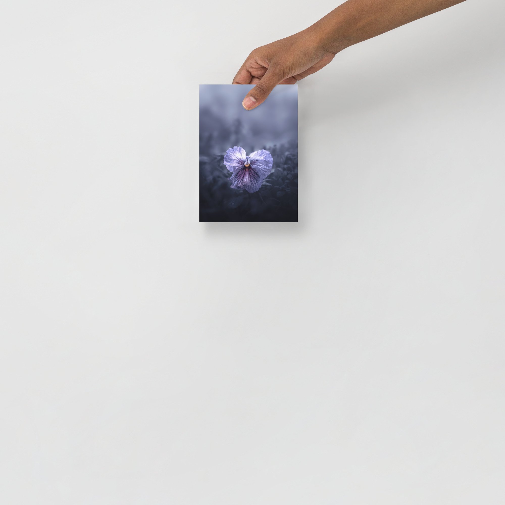 enhanced-matte-paper-poster-(in)-5x7-front-6636704d58f32.jpg