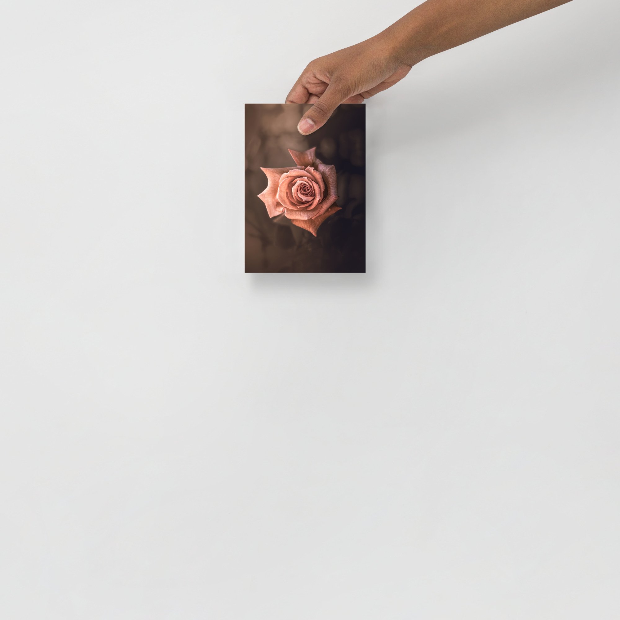 enhanced-matte-paper-poster-(in)-5x7-front-663677aacfc05.jpg