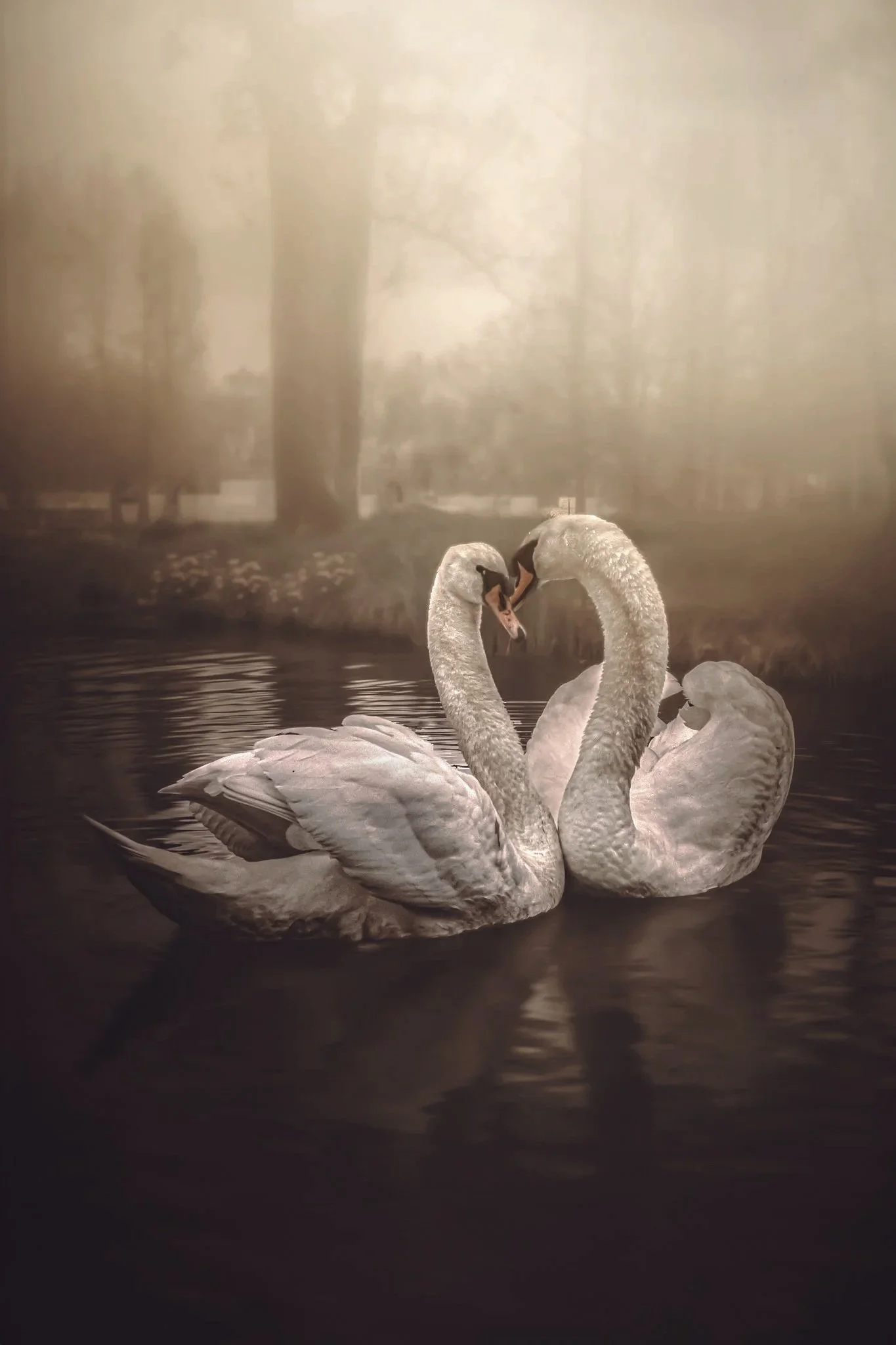 %C2%A9MichaelaJulia__Instagram1684790279815-2.jpg