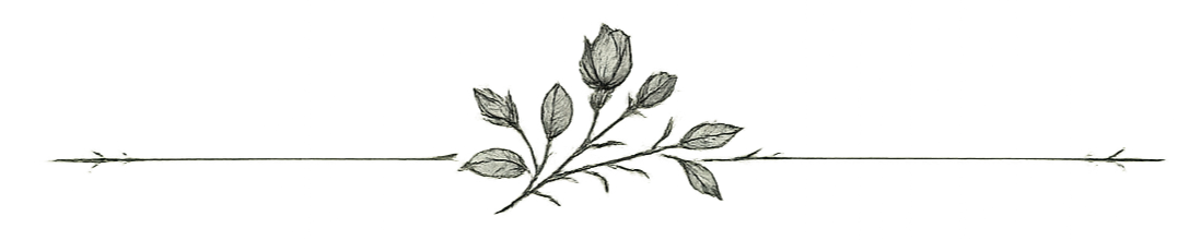 A still life illustration of a rose with leaves and a stem, rendered in a botanical drawing style.