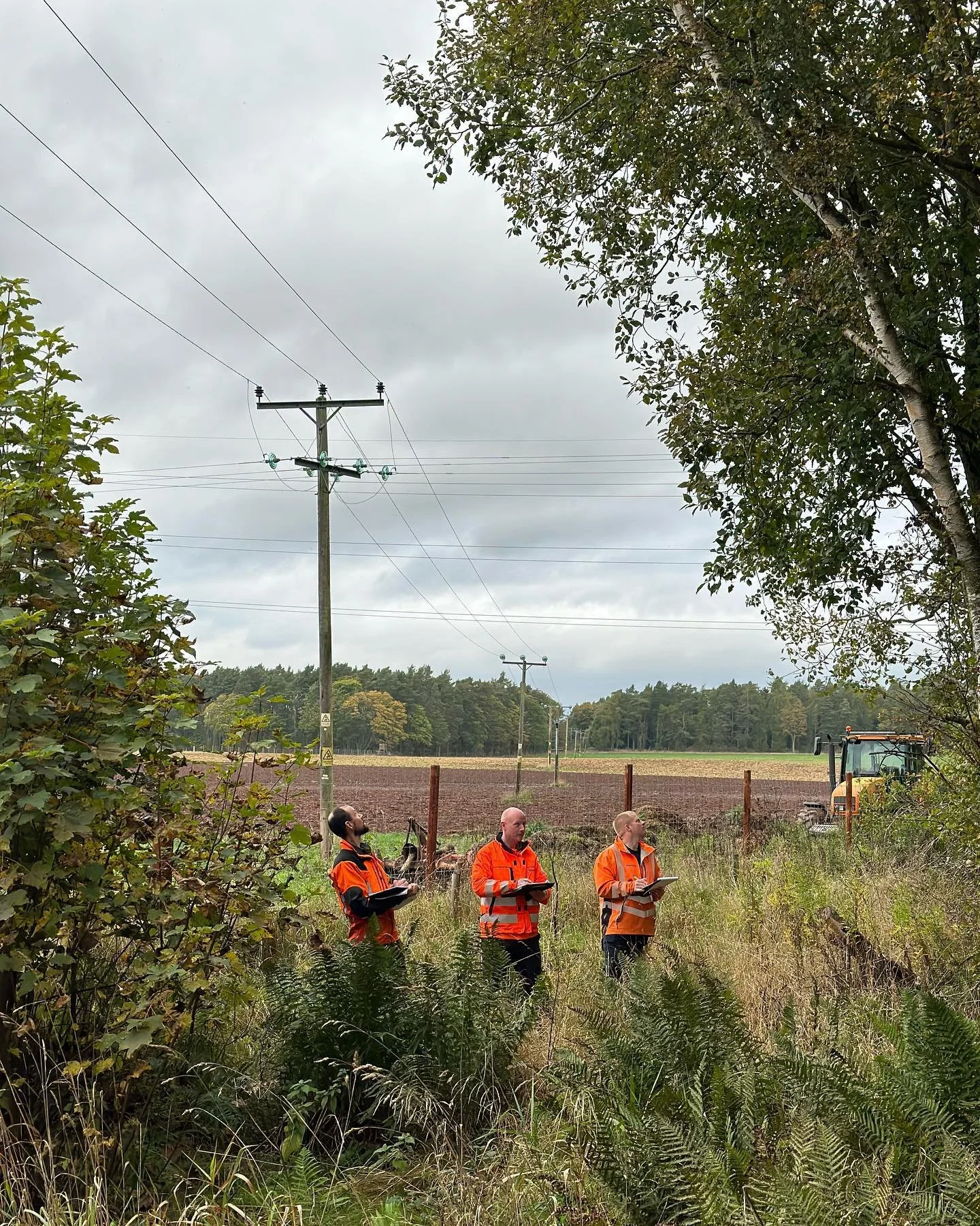3 people reviewing electrical overhead wires