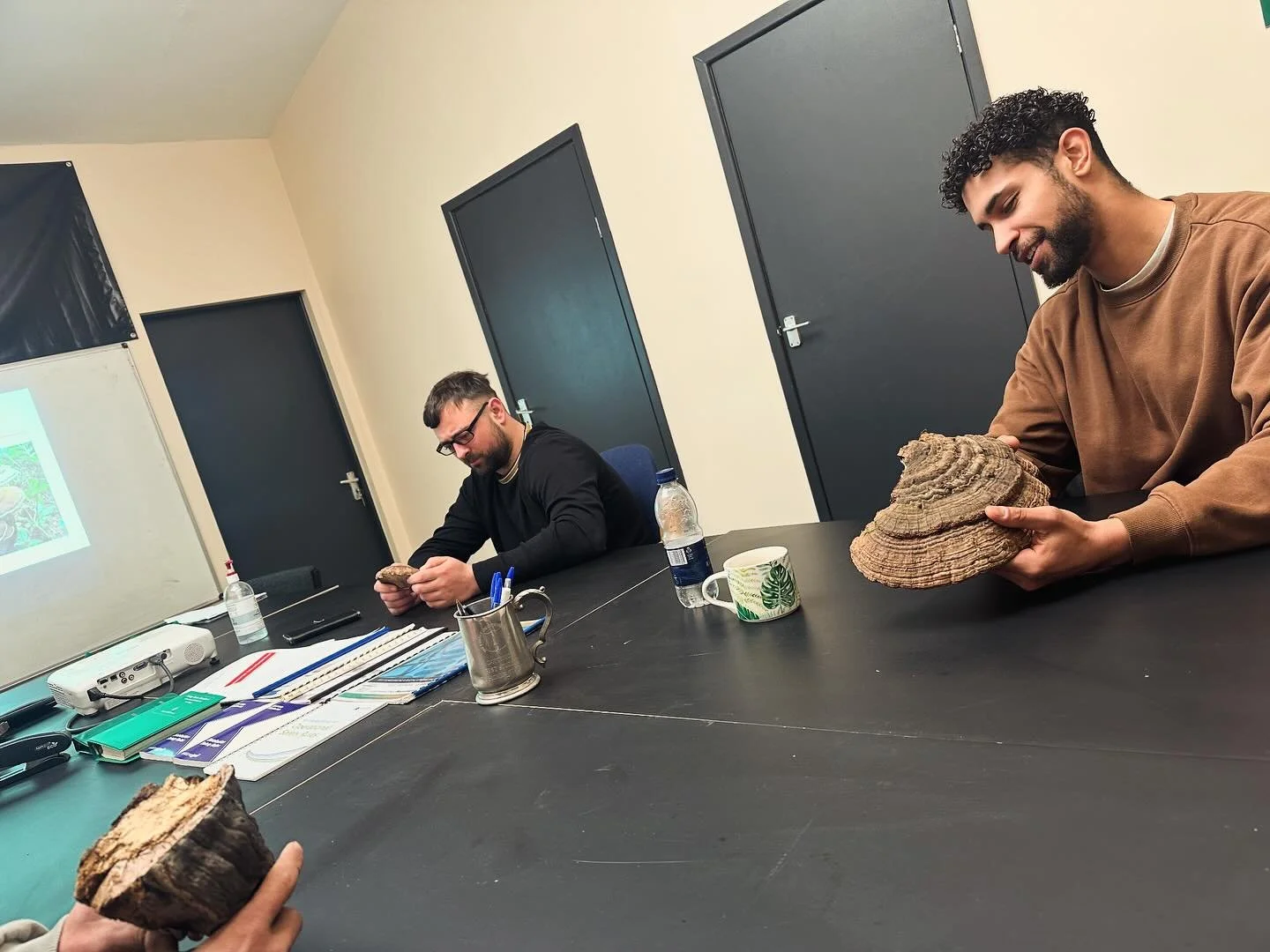 Two males sitting around the table looking at tree fungi.
