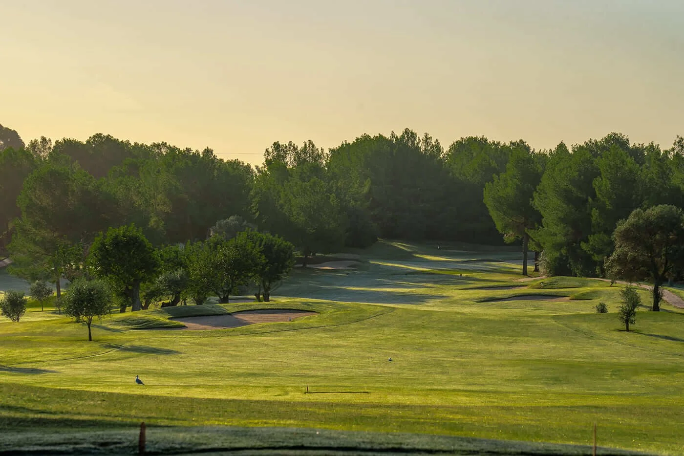 Golf Son Quint, Mallorca