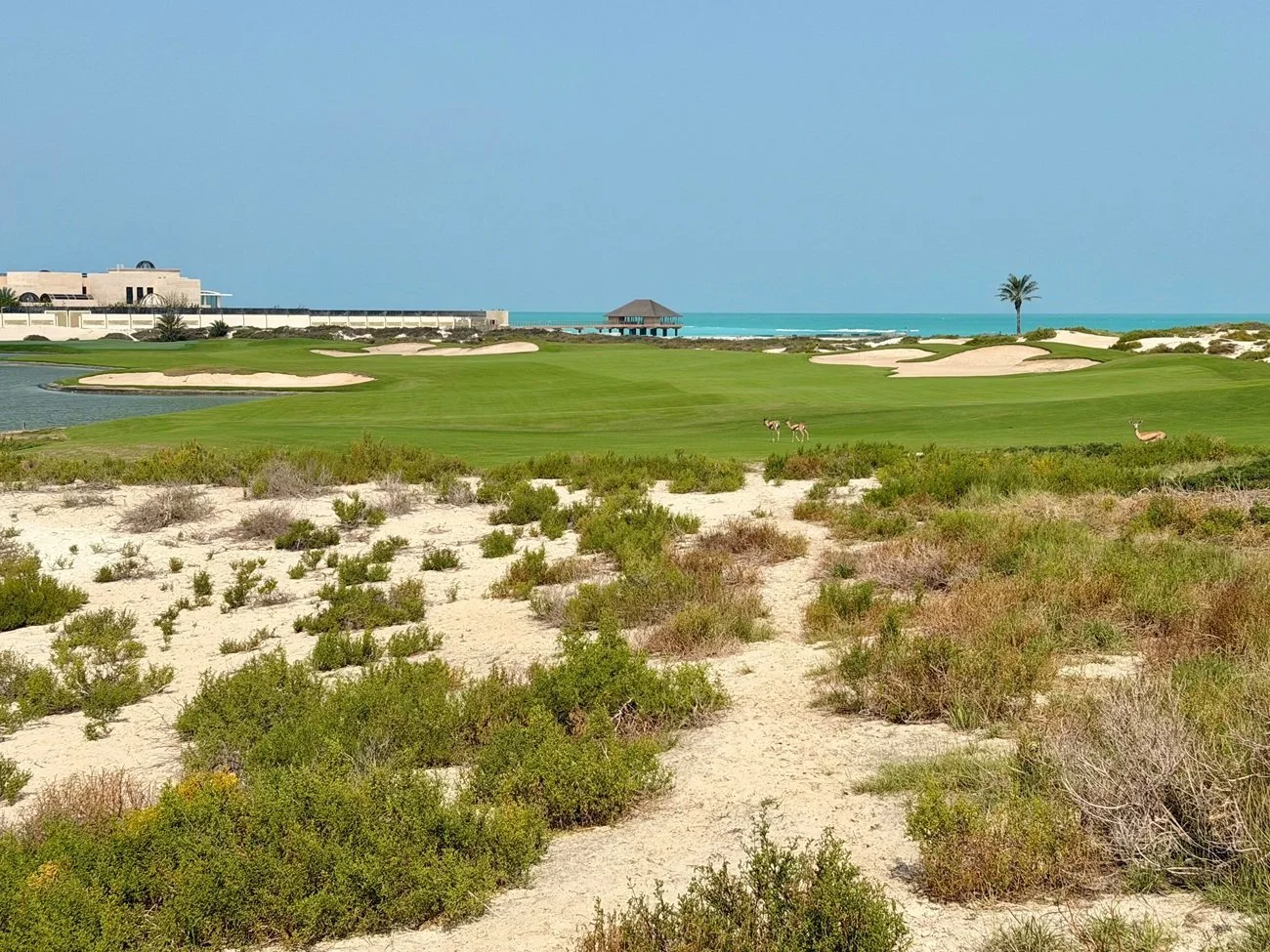 Saadiyat Beach Golf Course