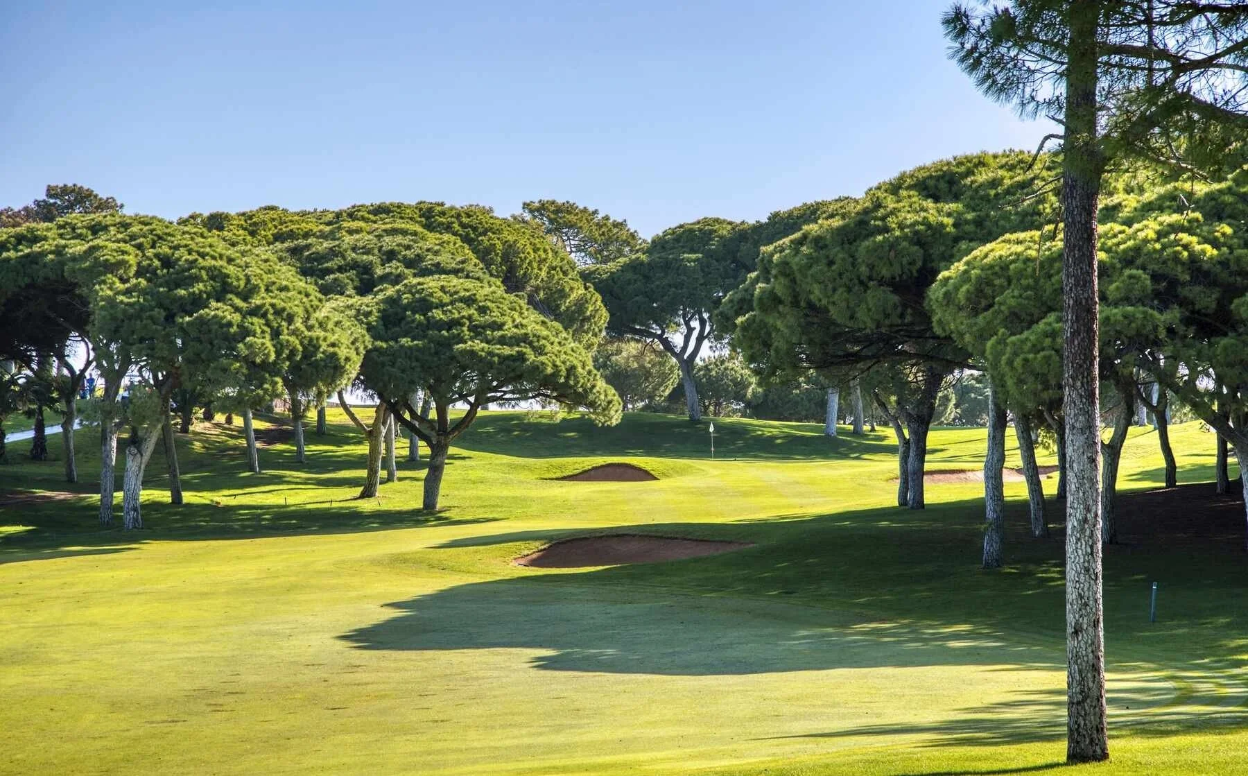Dom Pedro Old Course