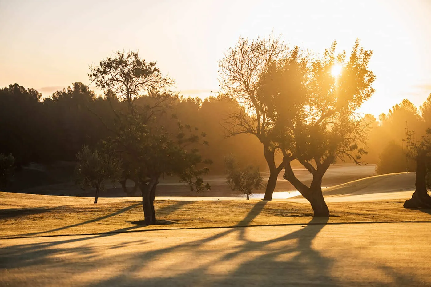 Golf Son Quint, Mallorca