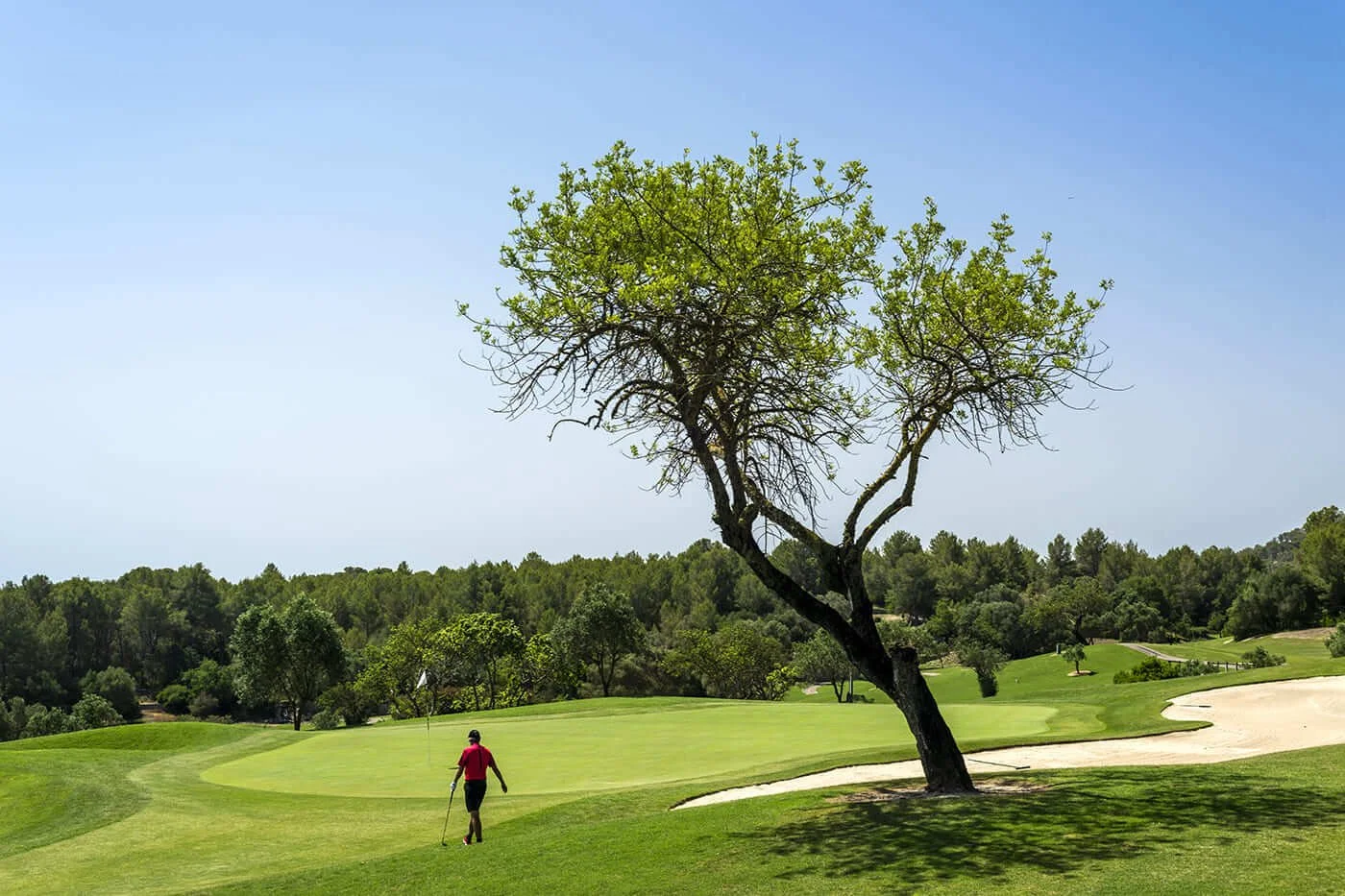 Son Muntaner Golf, Mallorca