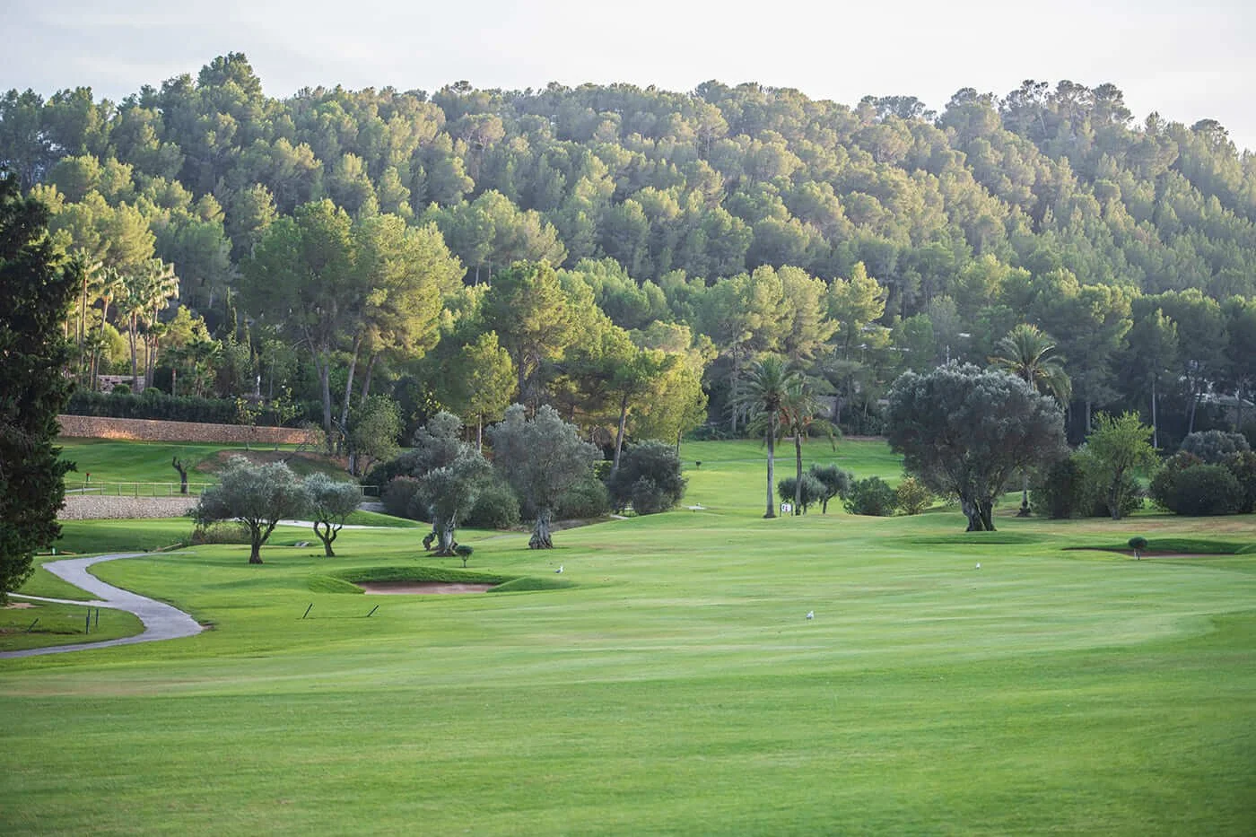 Golf Son Vida, Mallorca