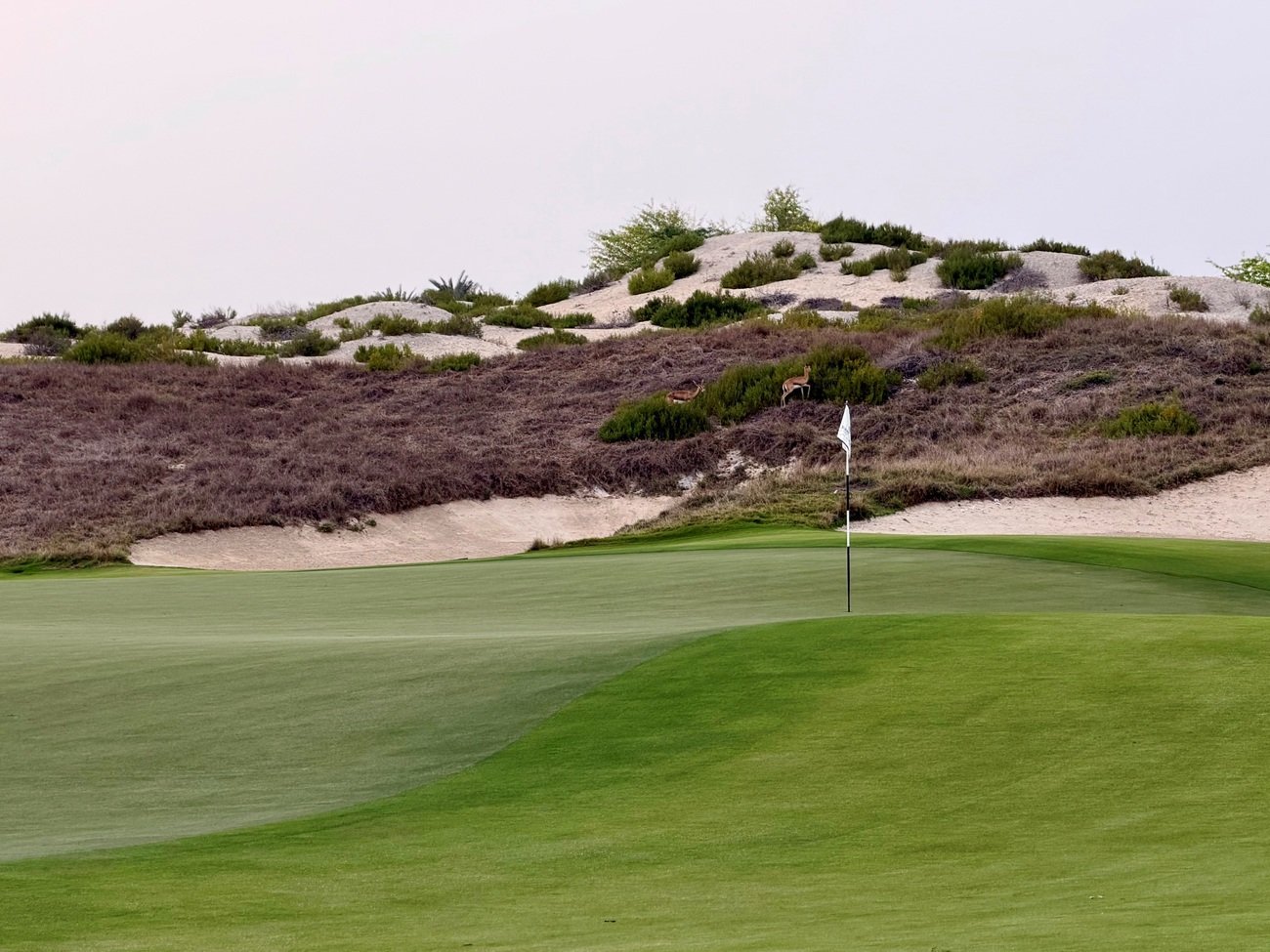 Saadiyat Beach Golf Course