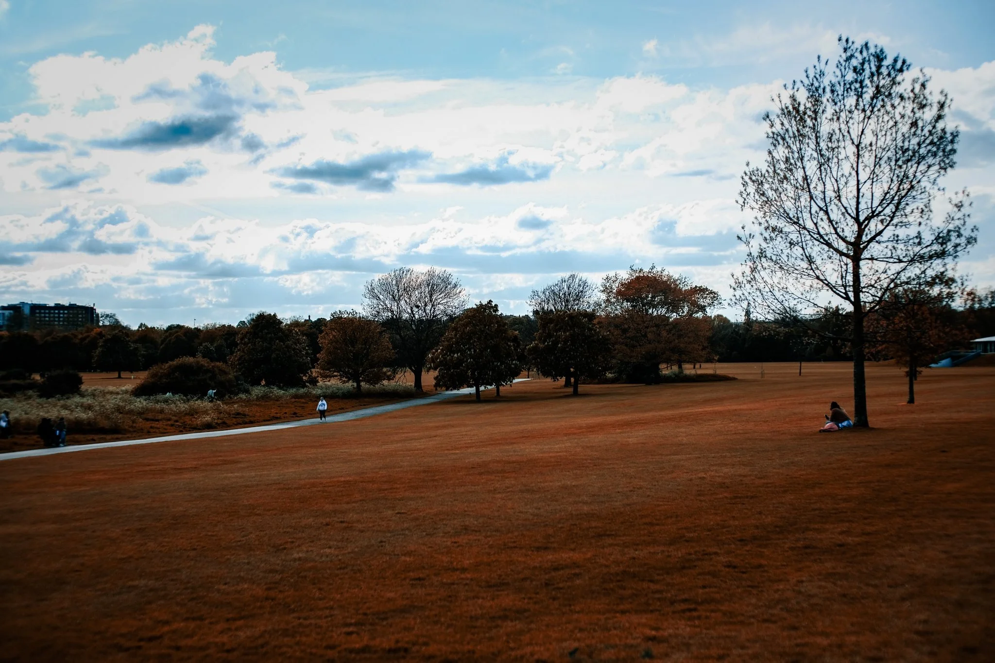 DSCF2881.jpg