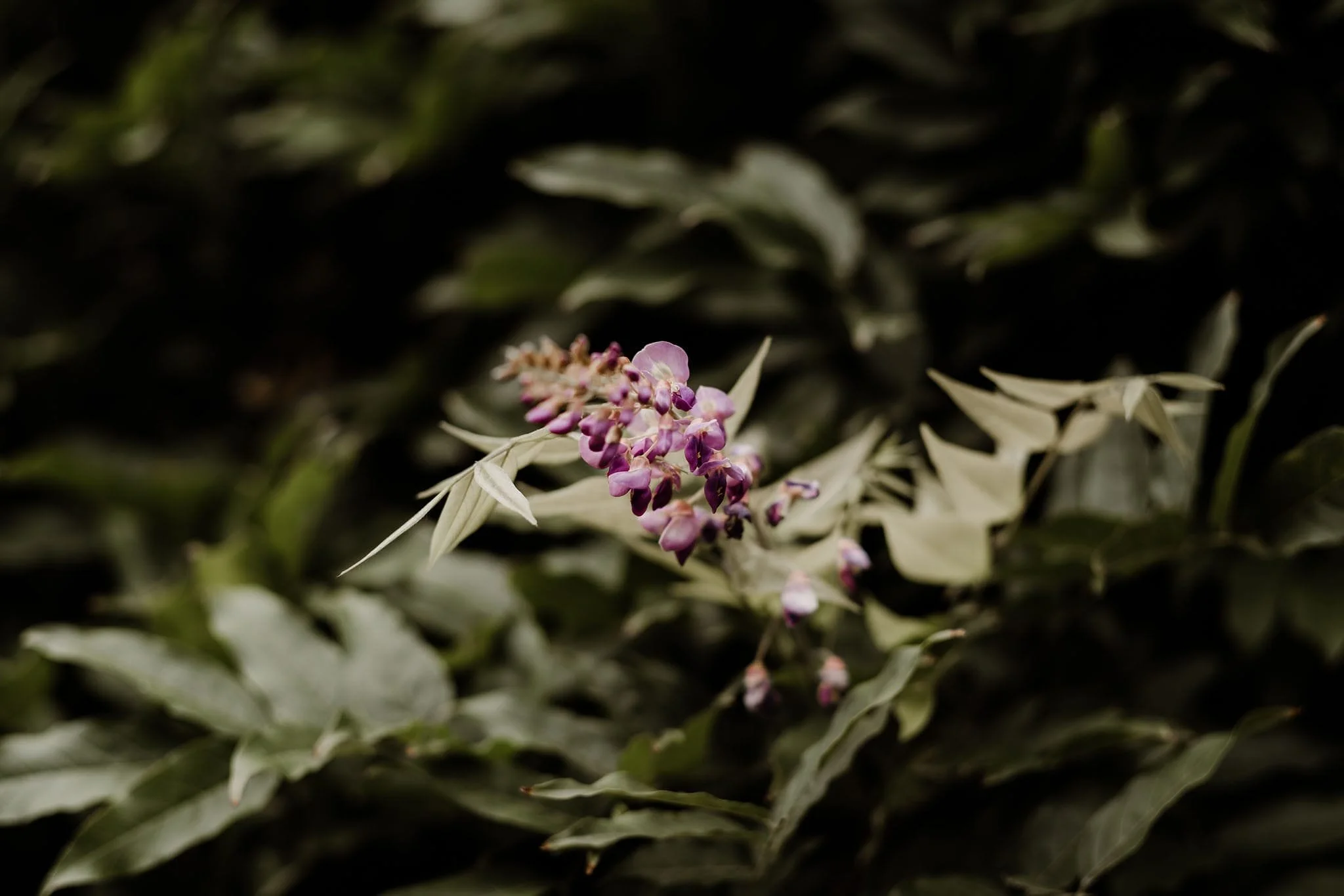 WhatsApp Image 2024-10-16 at 21.57.57 (1).jpeg