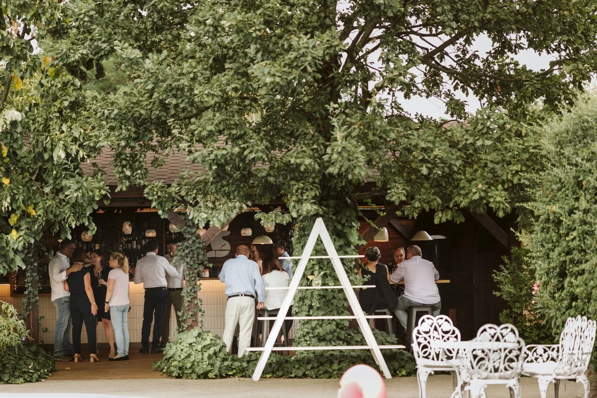 People socializing at an outdoor bar under a large leafy tree with a white fence in the foreground.