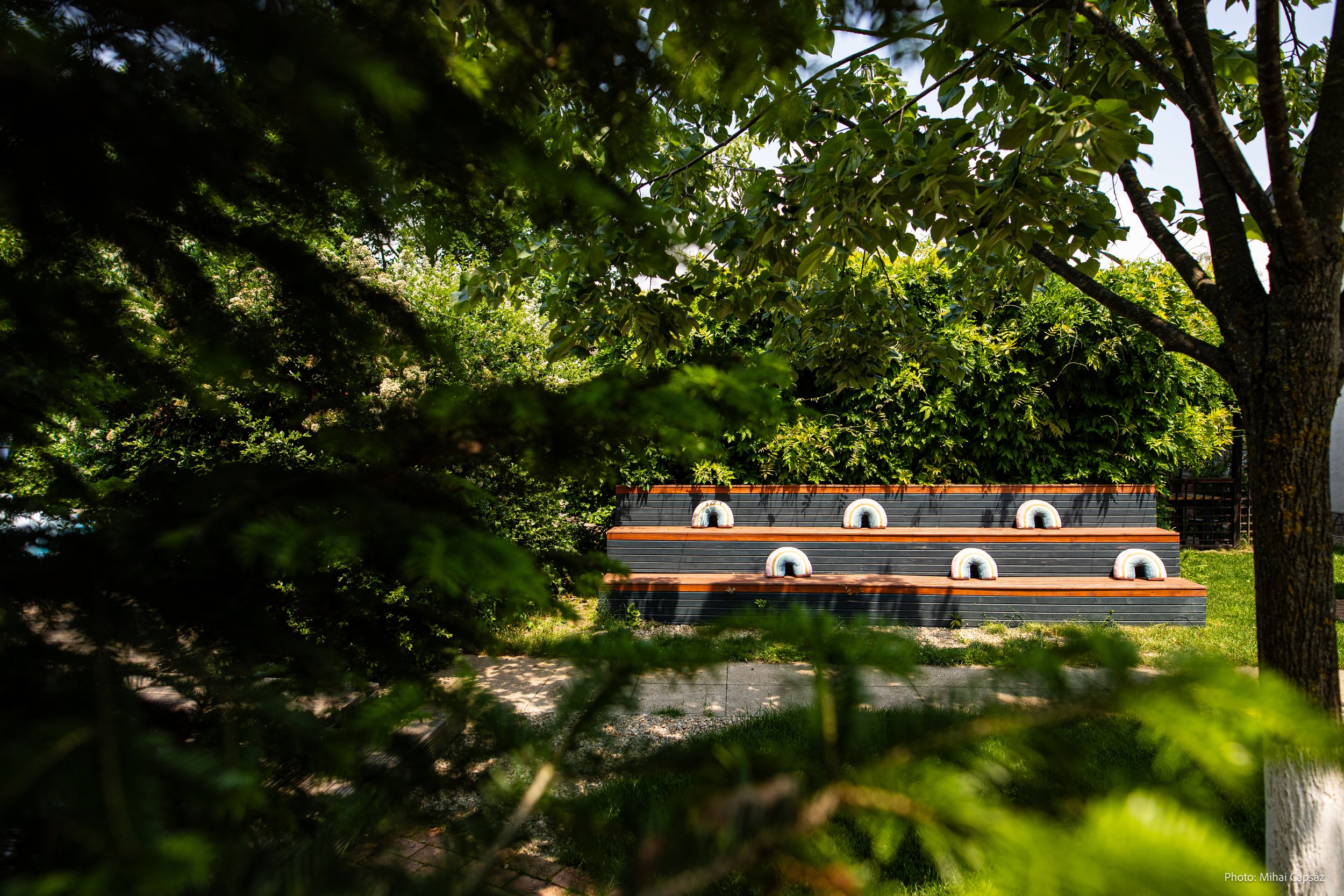 Mihai_Capsaz_botez Achim 20230527 [MaxRes]_284.jpg