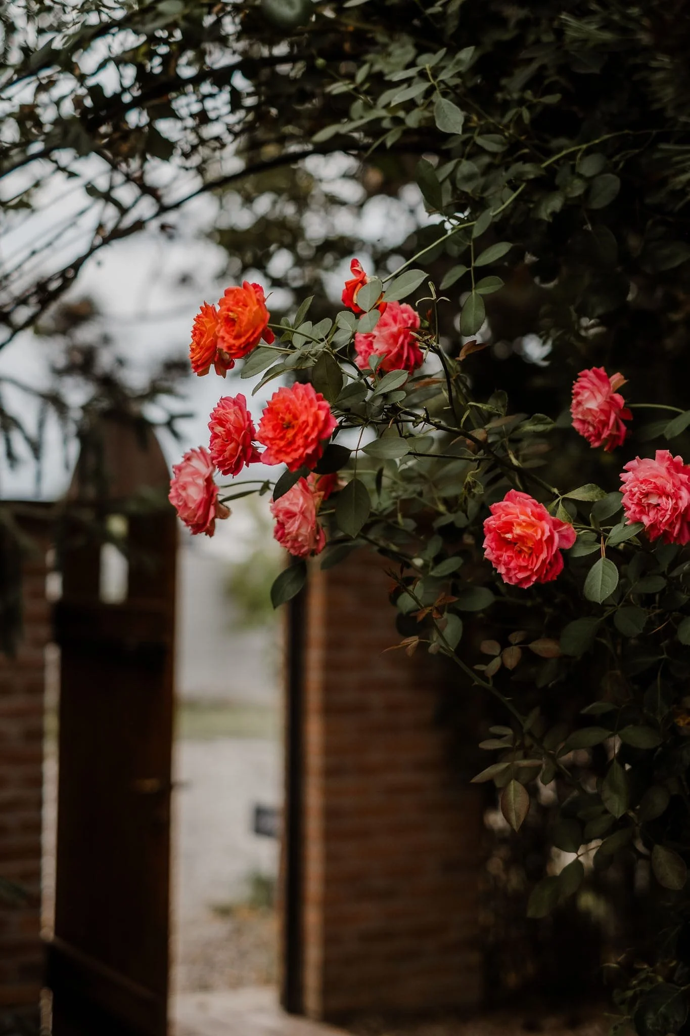 WhatsApp Image 2024-10-16 at 21.57.57.jpeg