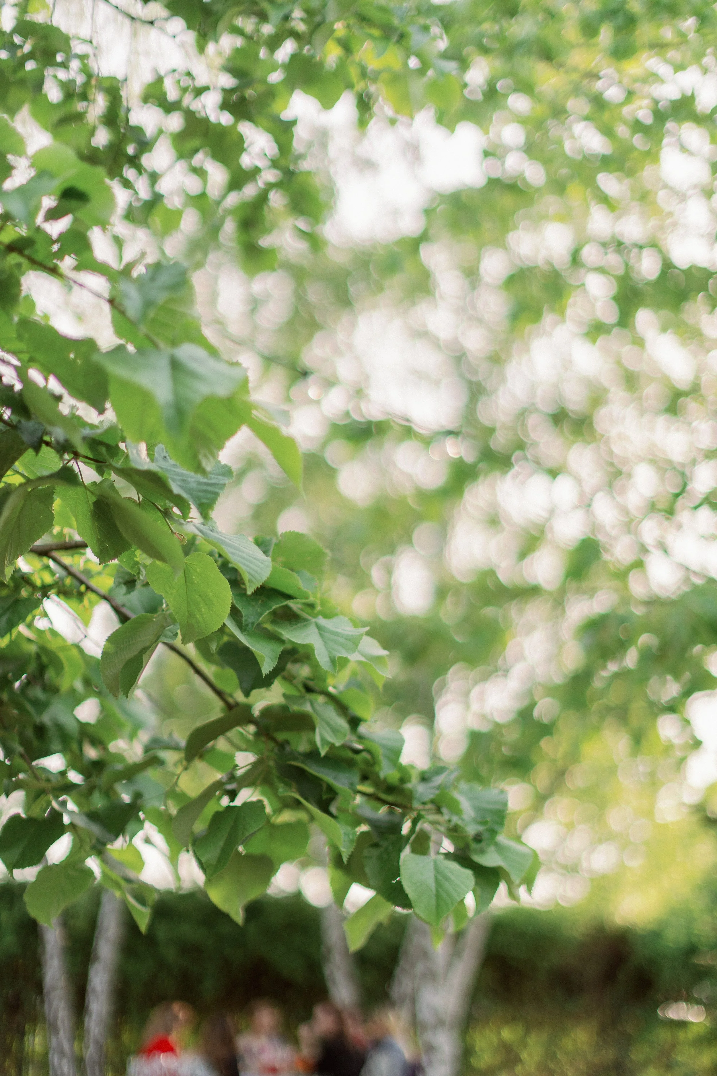 Botez Emma (470).jpg