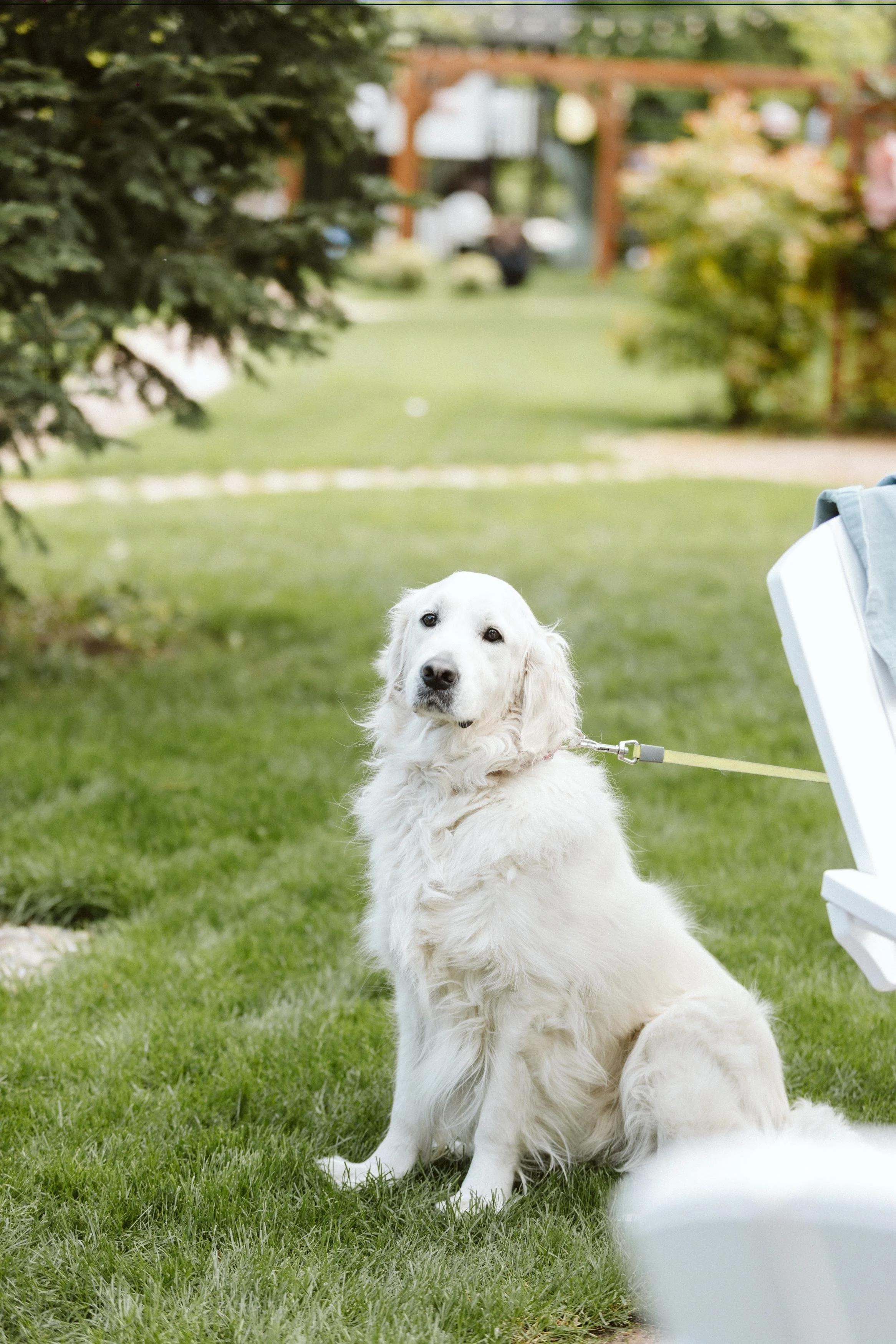 WhatsApp Image 2024-04-22 at 21.44.01 (1).jpeg