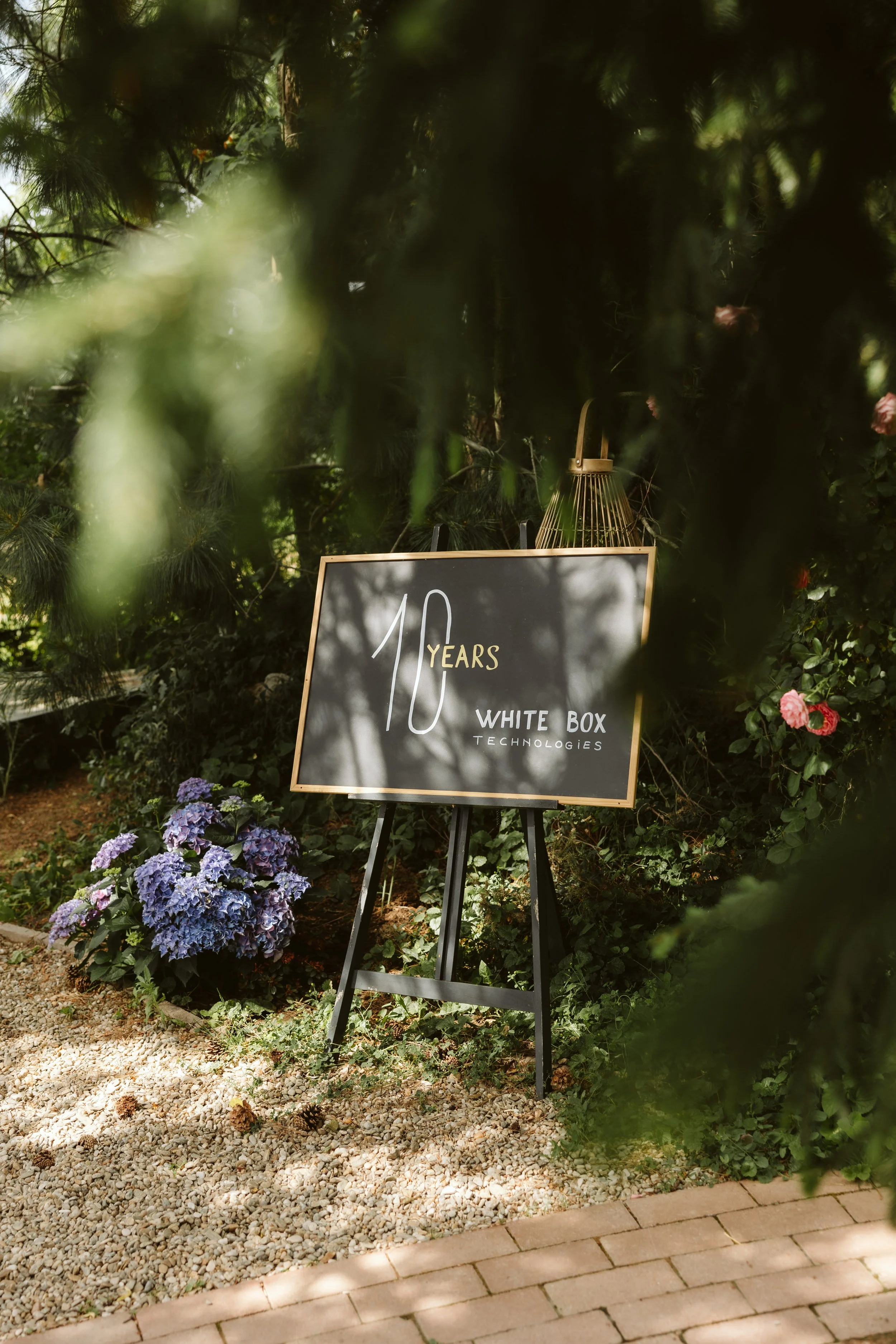 Whiote Box Lilebuba Photography -33.jpg