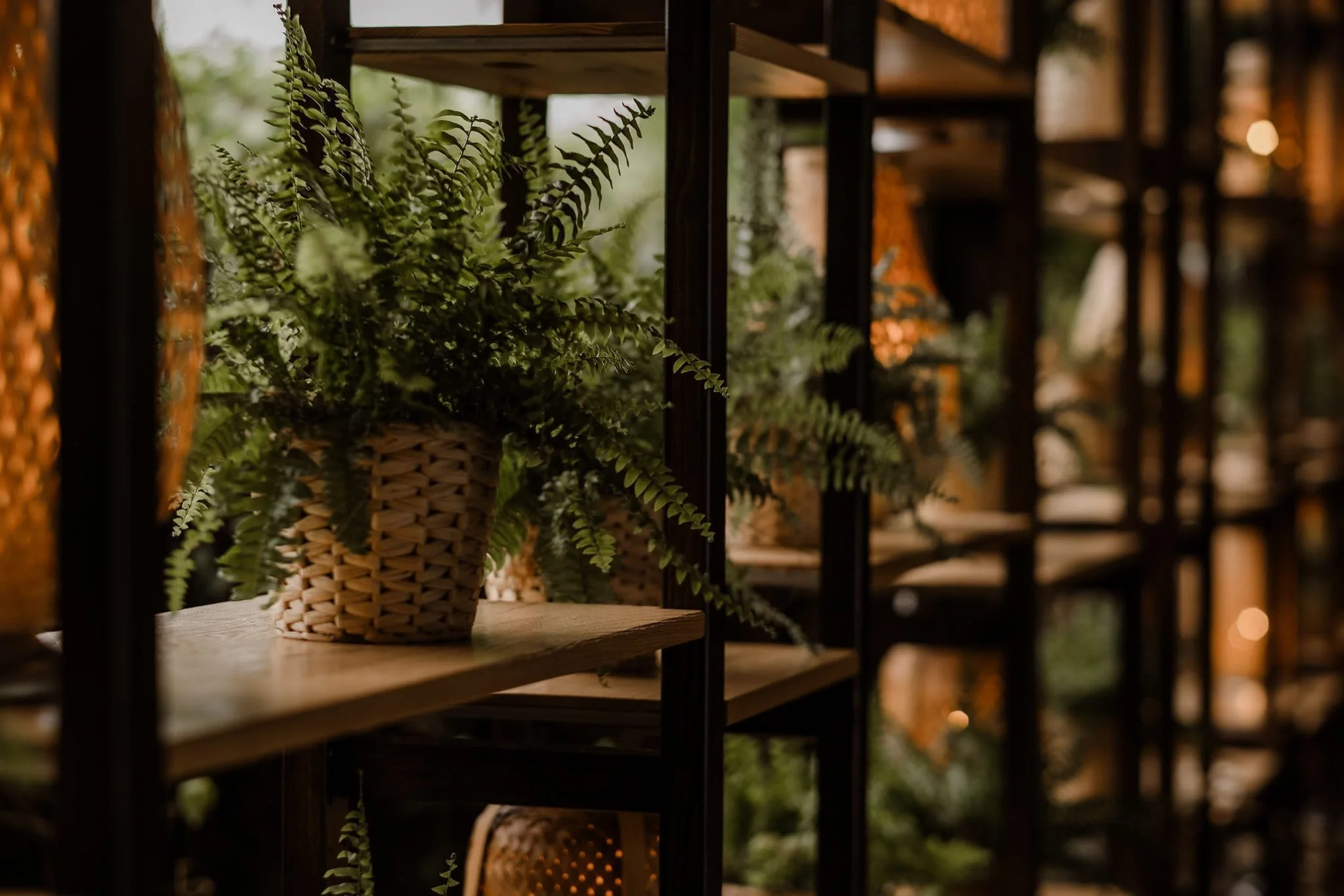 WhatsApp Image 2024-10-16 at 21.57.57 (2).jpeg