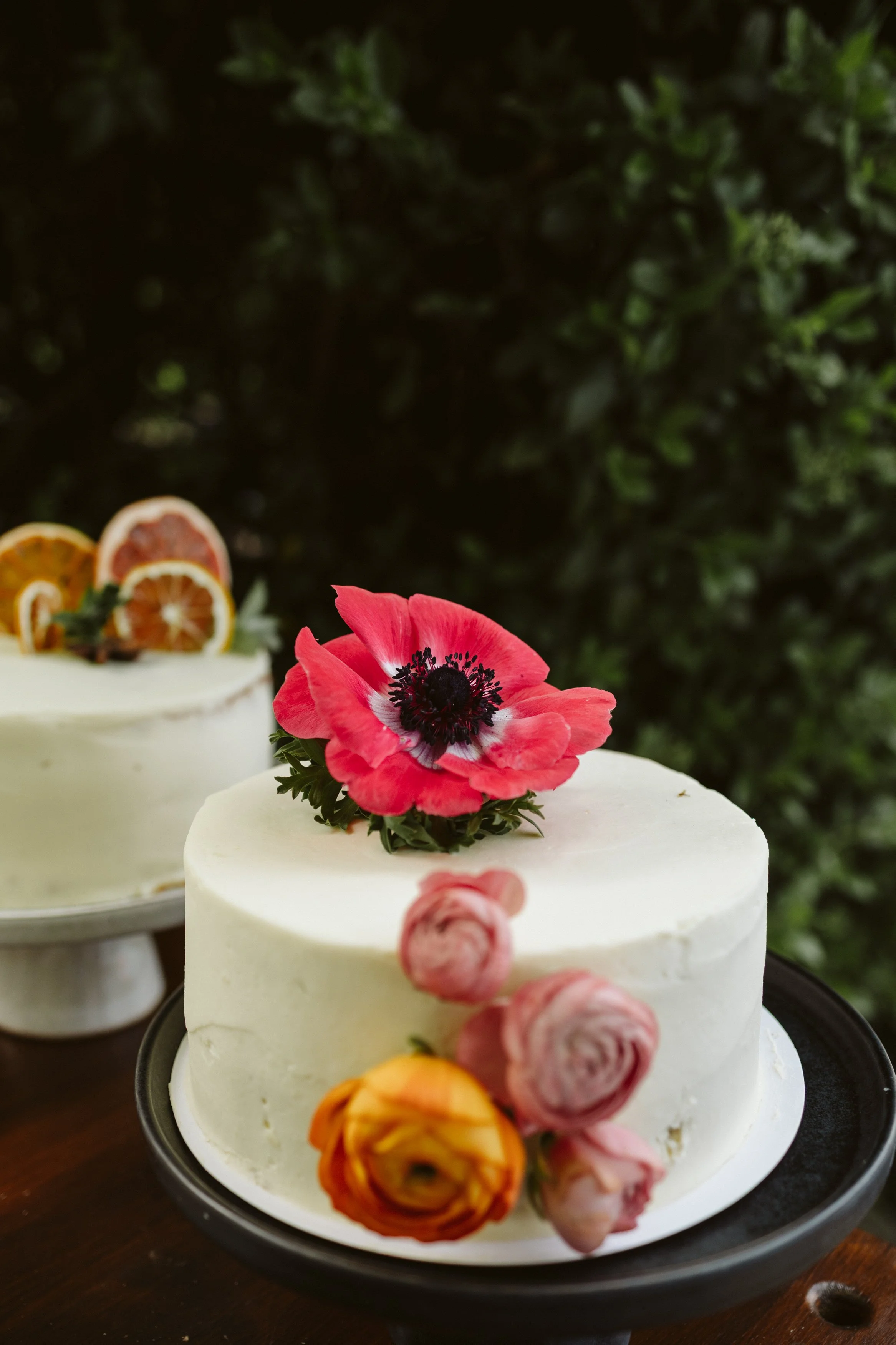 Lilebuba Photography - Flying fox 2025 start season-17.jpg