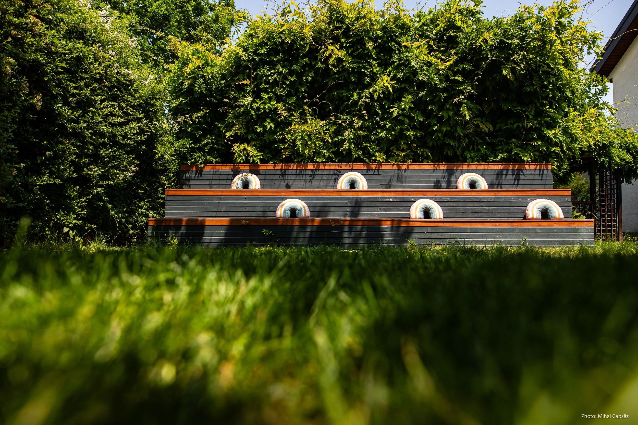 Mihai_Capsaz_botez Achim 20230527 [MaxRes]_285.jpg