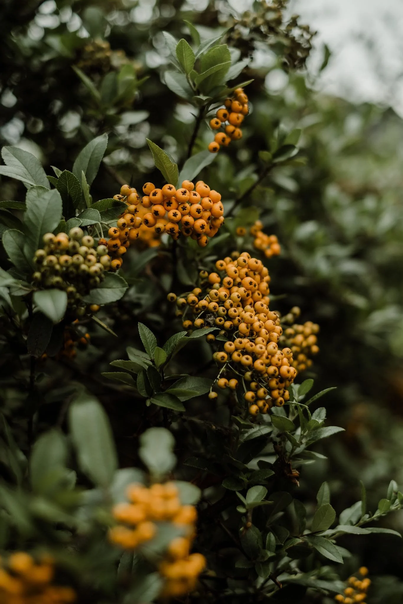 WhatsApp Image 2024-10-16 at 21.57.56 (1).jpeg