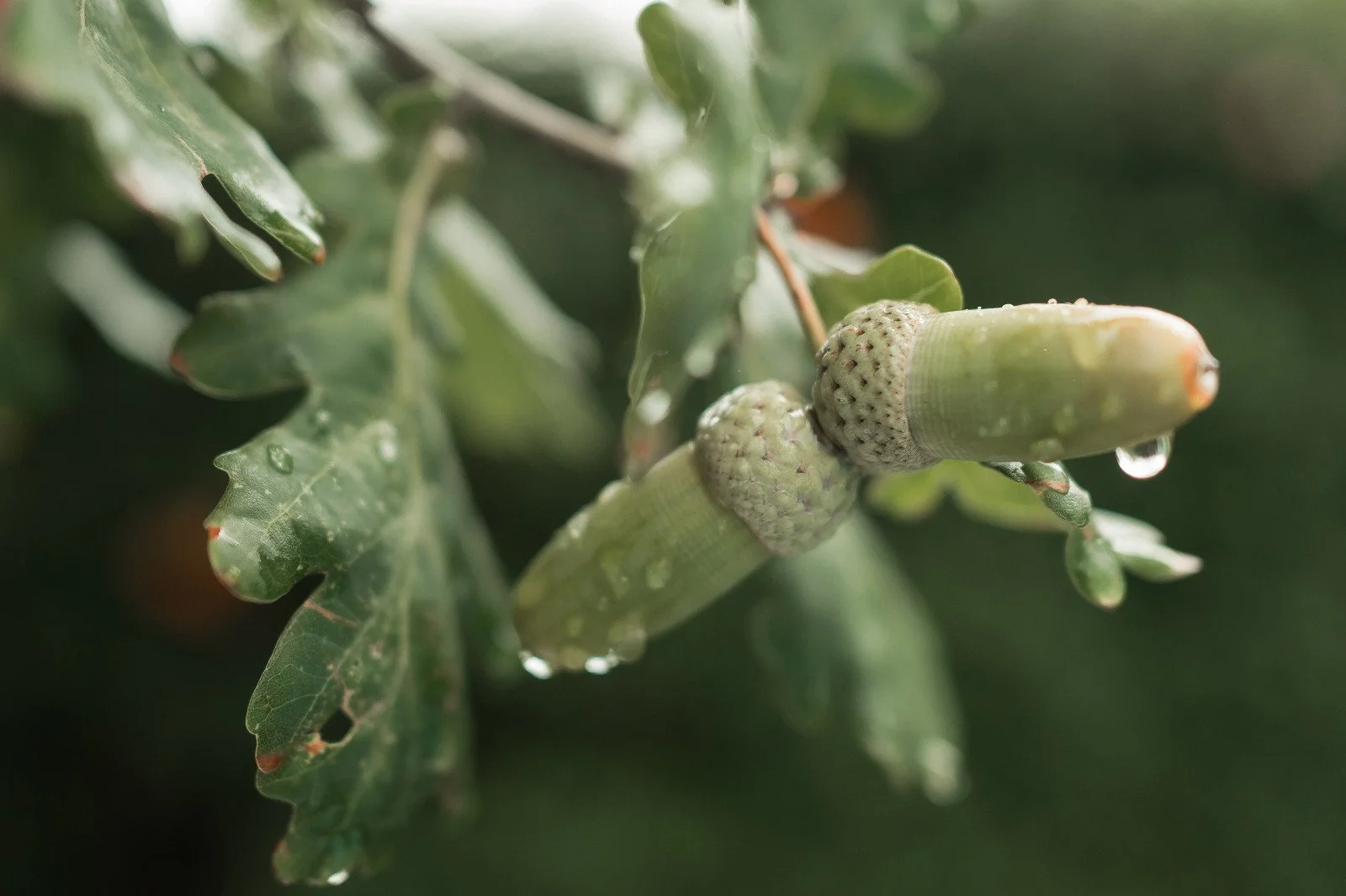 WhatsApp Image 2024-09-15 at 22.38.24 (1).jpeg