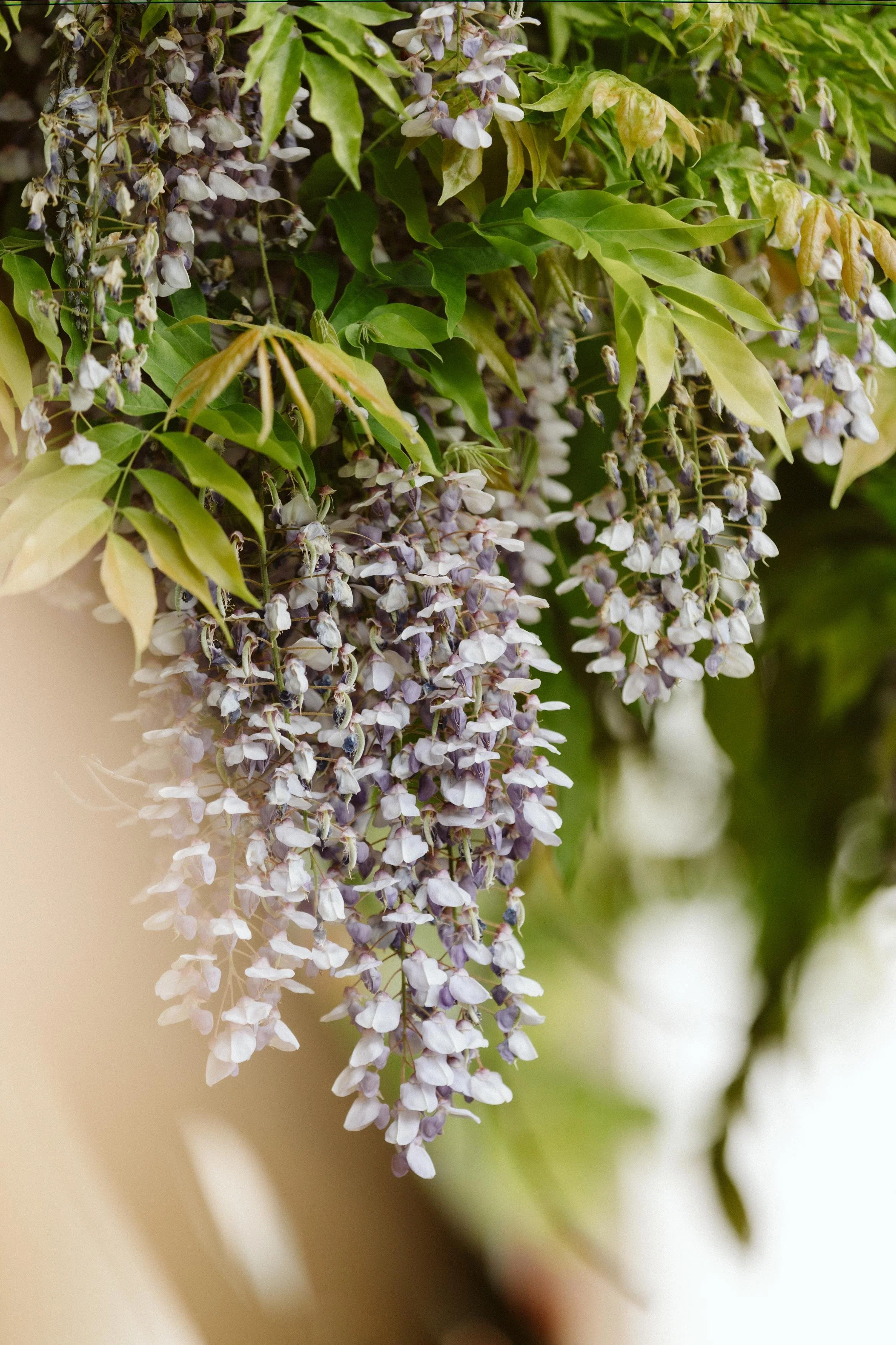 WhatsApp Image 2024-04-22 at 21.43.56.jpeg