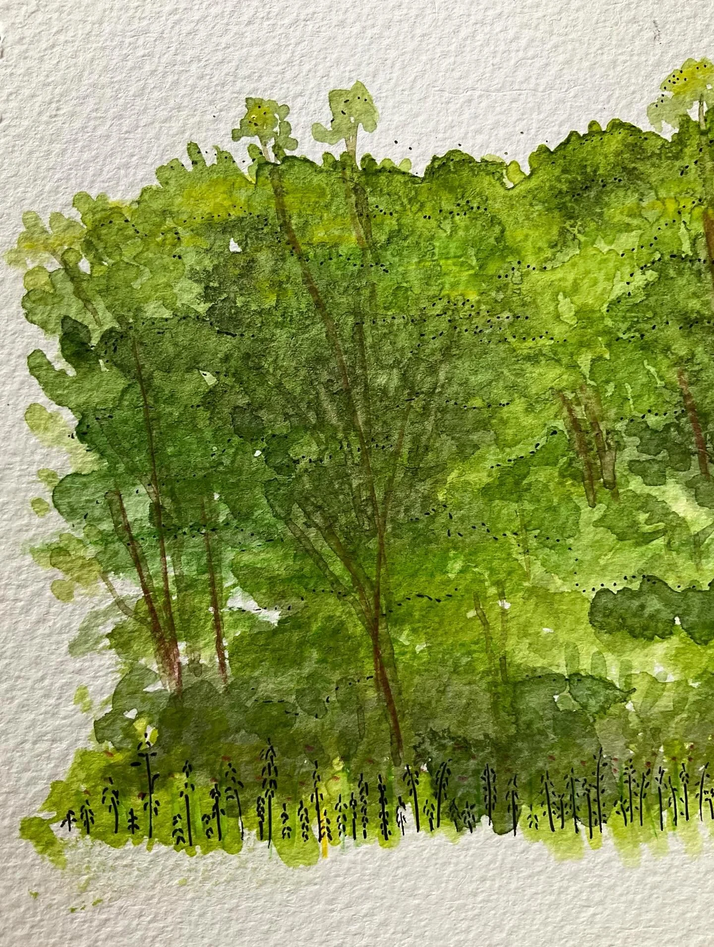 I love painting from real life 🌱 

#watercolour #trees #forest
