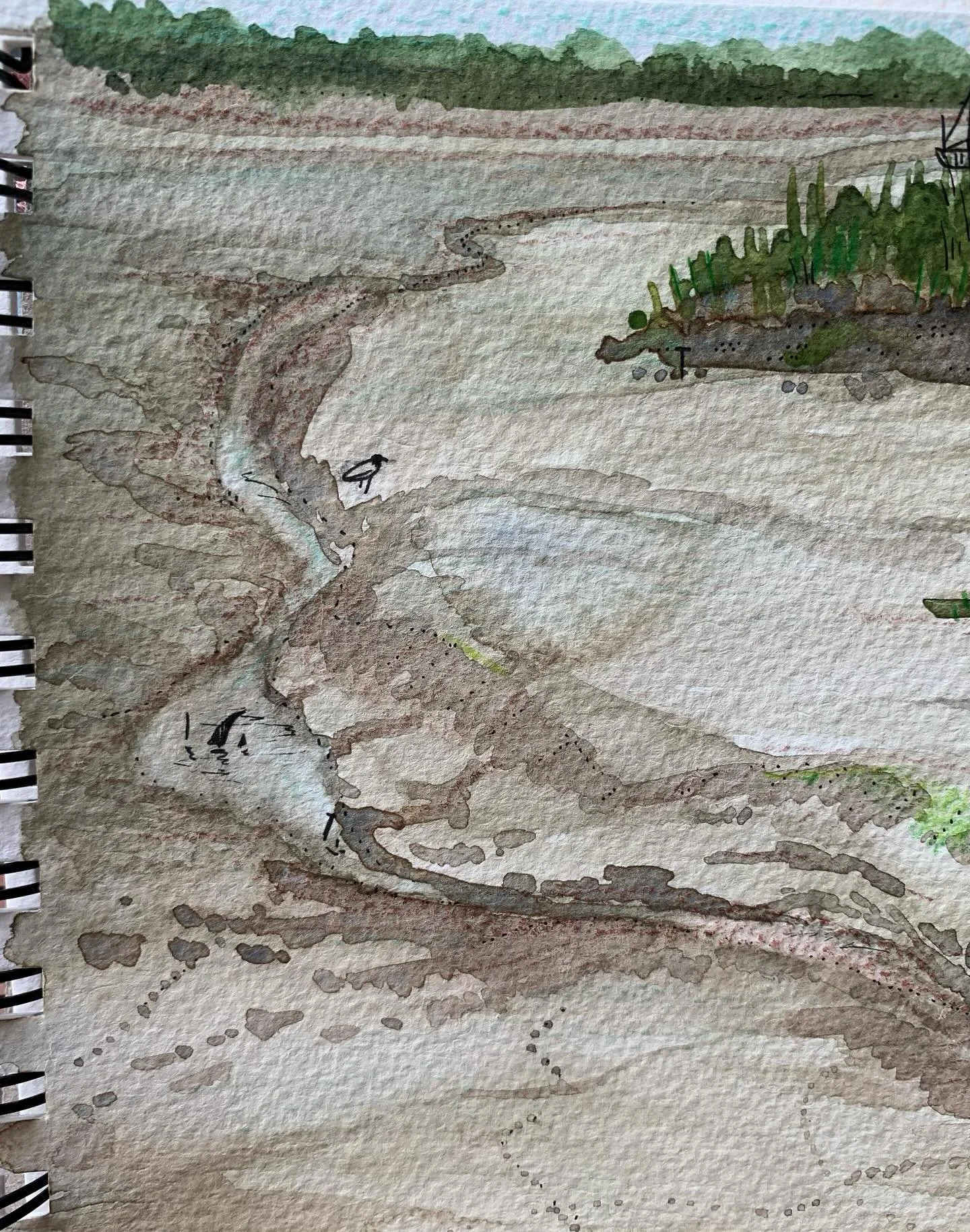 I painted the Moores and some cute little seagulls 🪶
Getting the tone of the mud right was definitely the hardest part. 

#watercolour #nature #observationalpainting #moores