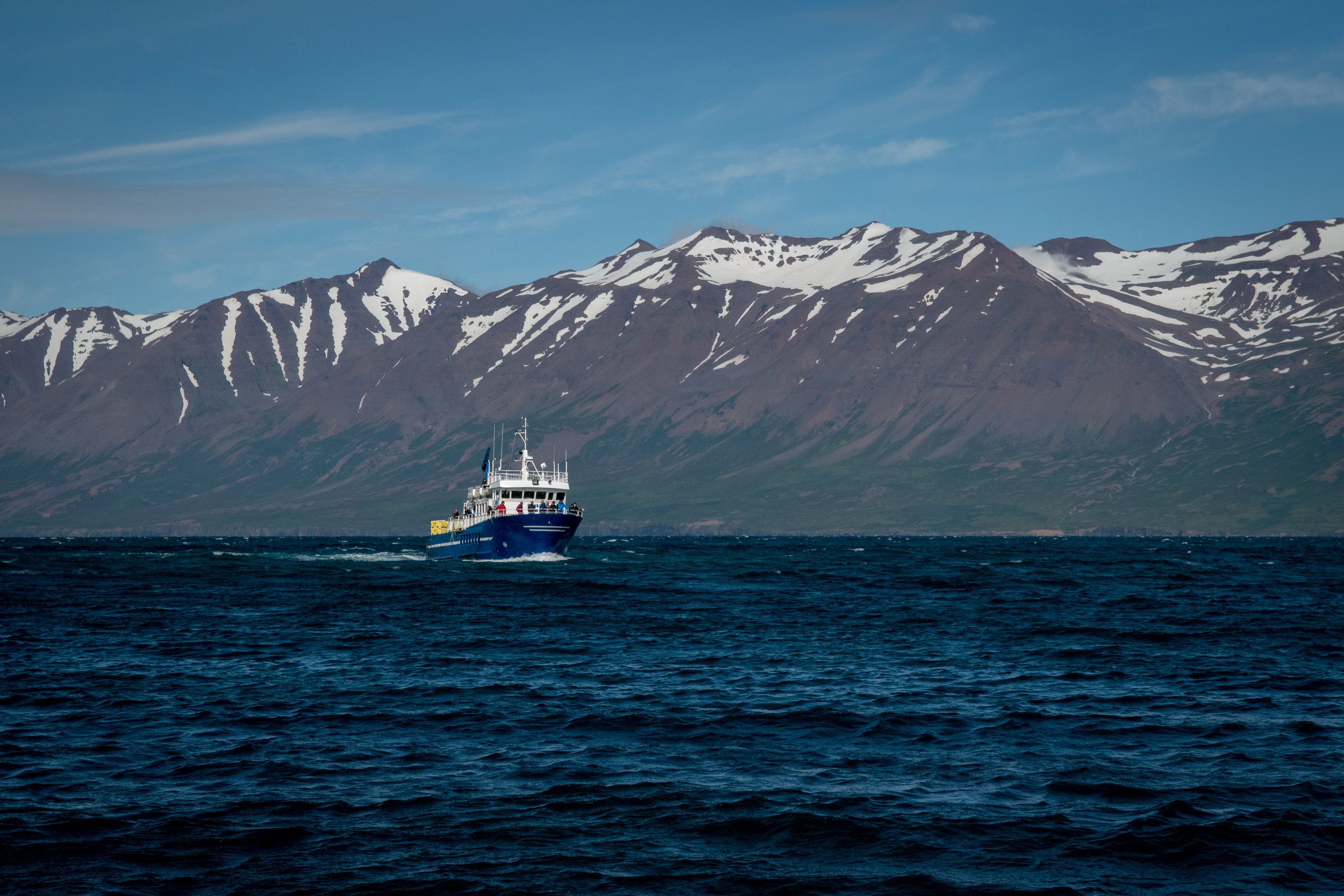 DSC_0519.jpg