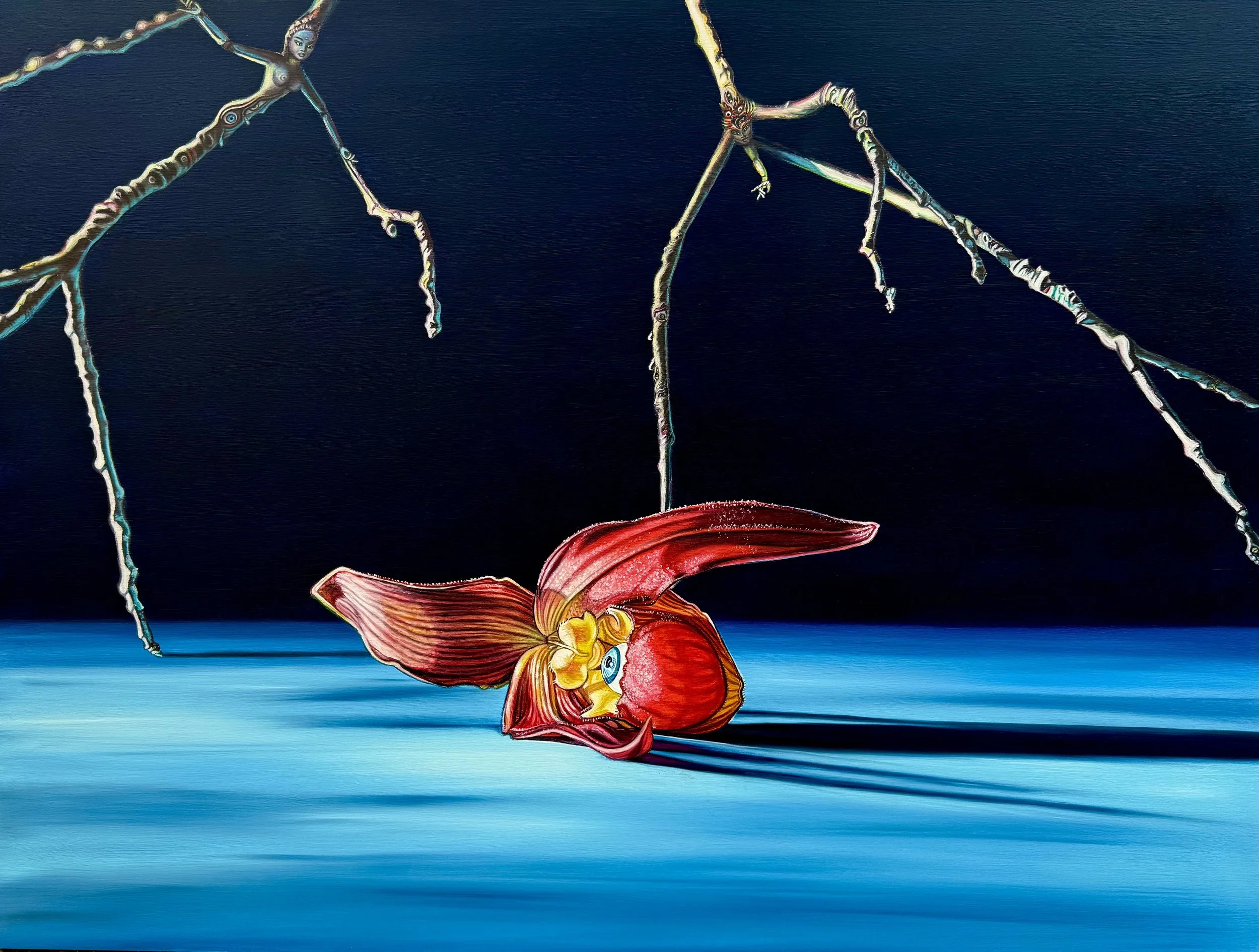 Life, still.  Oil on wood panel, 30" x 40"(Phragmipedium blossom)