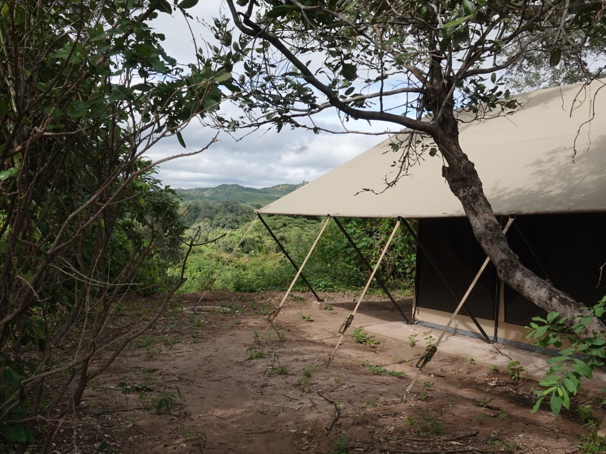 rooms at Mhara River Bush Camp 2.jpg