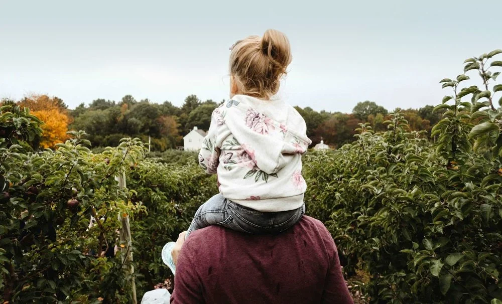 Young child sitting on her parent's shoulders, with her back to the viewer.