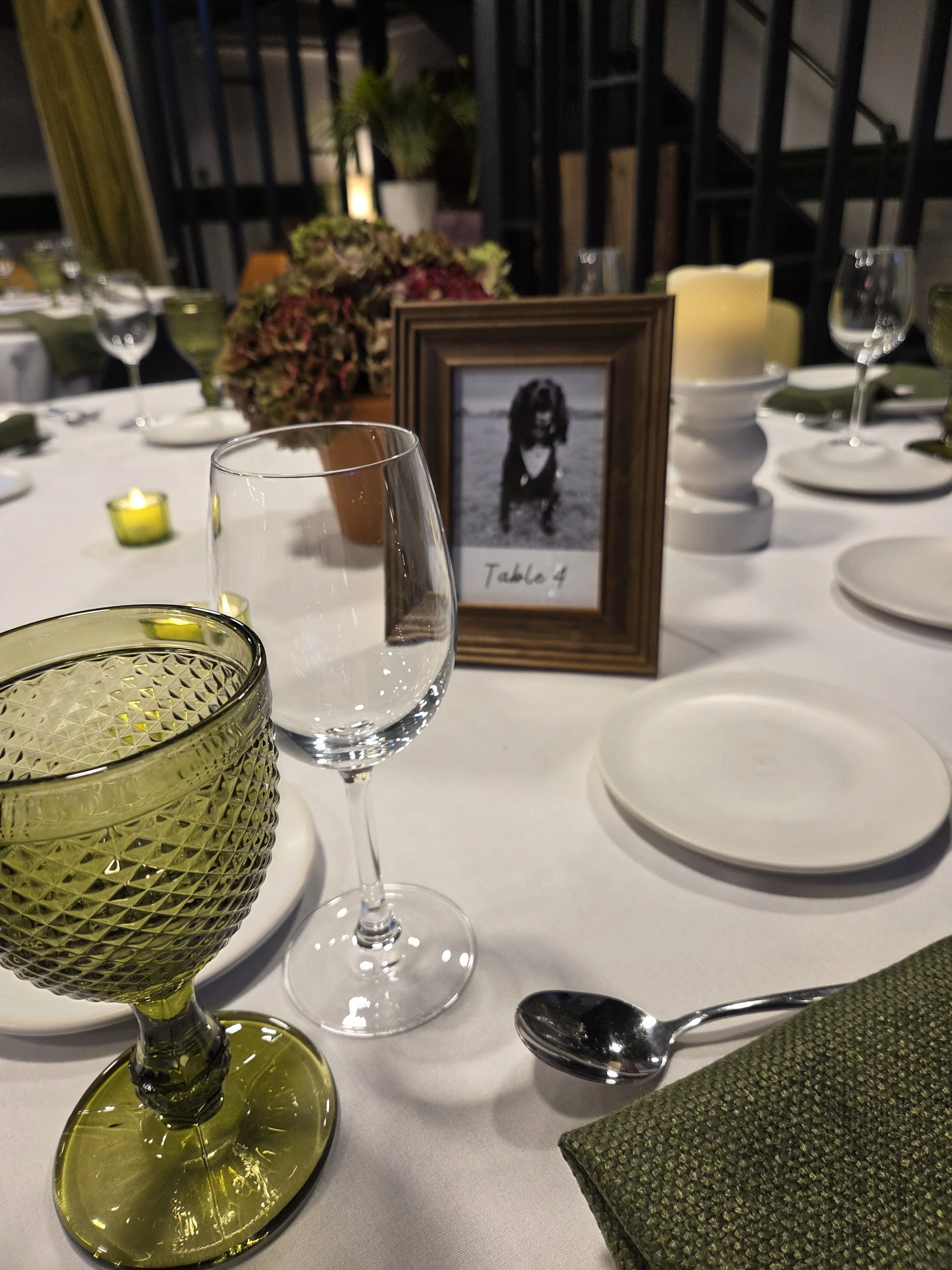 wedding tablescape, the table number is a photo of the couples dog