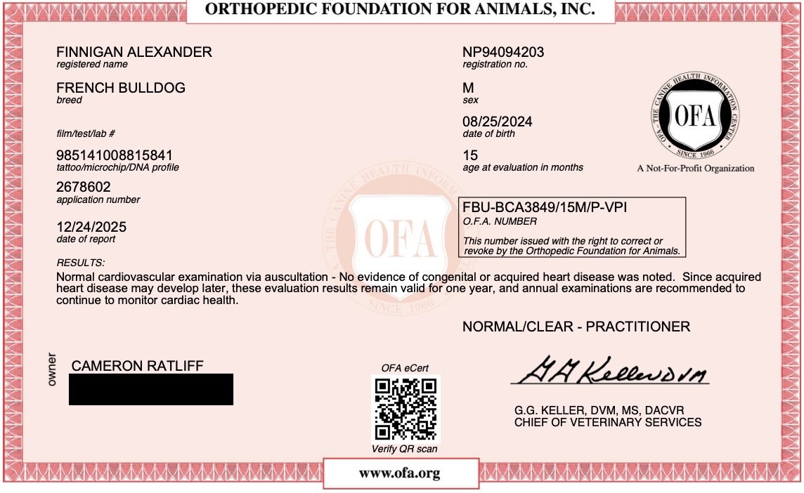 Veterinary certification card for a French Bulldog named Finnigan Alexander, issued by the Orthopedic Foundation for Animals. It includes the dog's registration number, sex, birth date, age, test results for cardiology, and the owner's name, Cameron Ratliff, signed by G.G. Keller. The card is pink with a red border and features a QR code for verification.