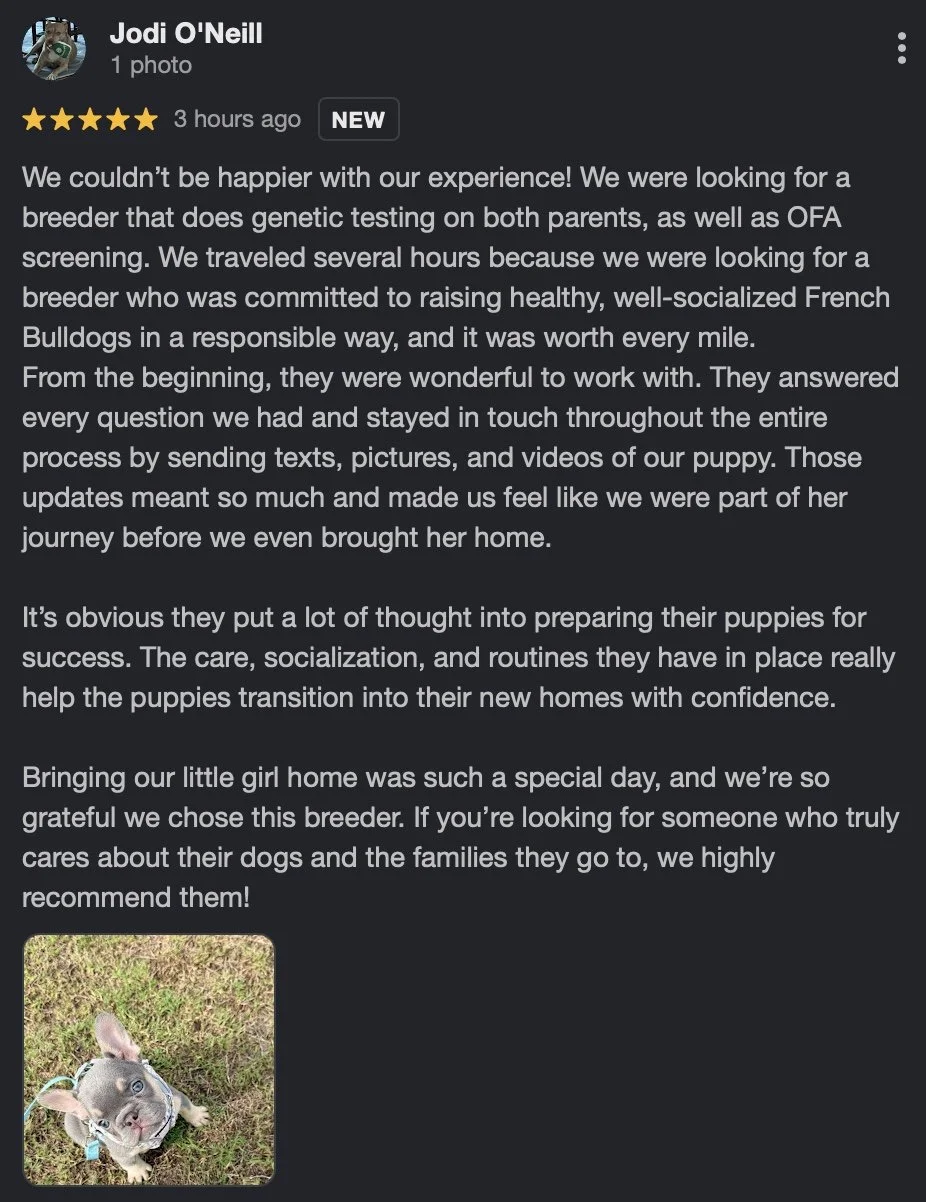 Google Review