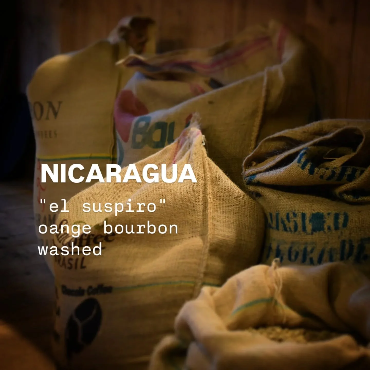 .
いつもありがとうございます。
.
■ニカラグア産スペシャルティコーヒー
『エル・ススピロ・オレンジブルボン』washed(中深煎り)
.
希少なオレンジブルボン種
この品種特有の奥行きのある甘みと柔らかなマウスフィール
ニュークロップならではのフレッシュなフレーバー
.
その他に
コーヒー豆のラインナップは
常時、12～15種類ほどご用意しています。
.
.
好みの味わいや、雰囲気をお伝えくだされば、
おすすめのコーヒー豆をご案内いたしまので、
お気軽にお声がけください。
.
いつもご利用い